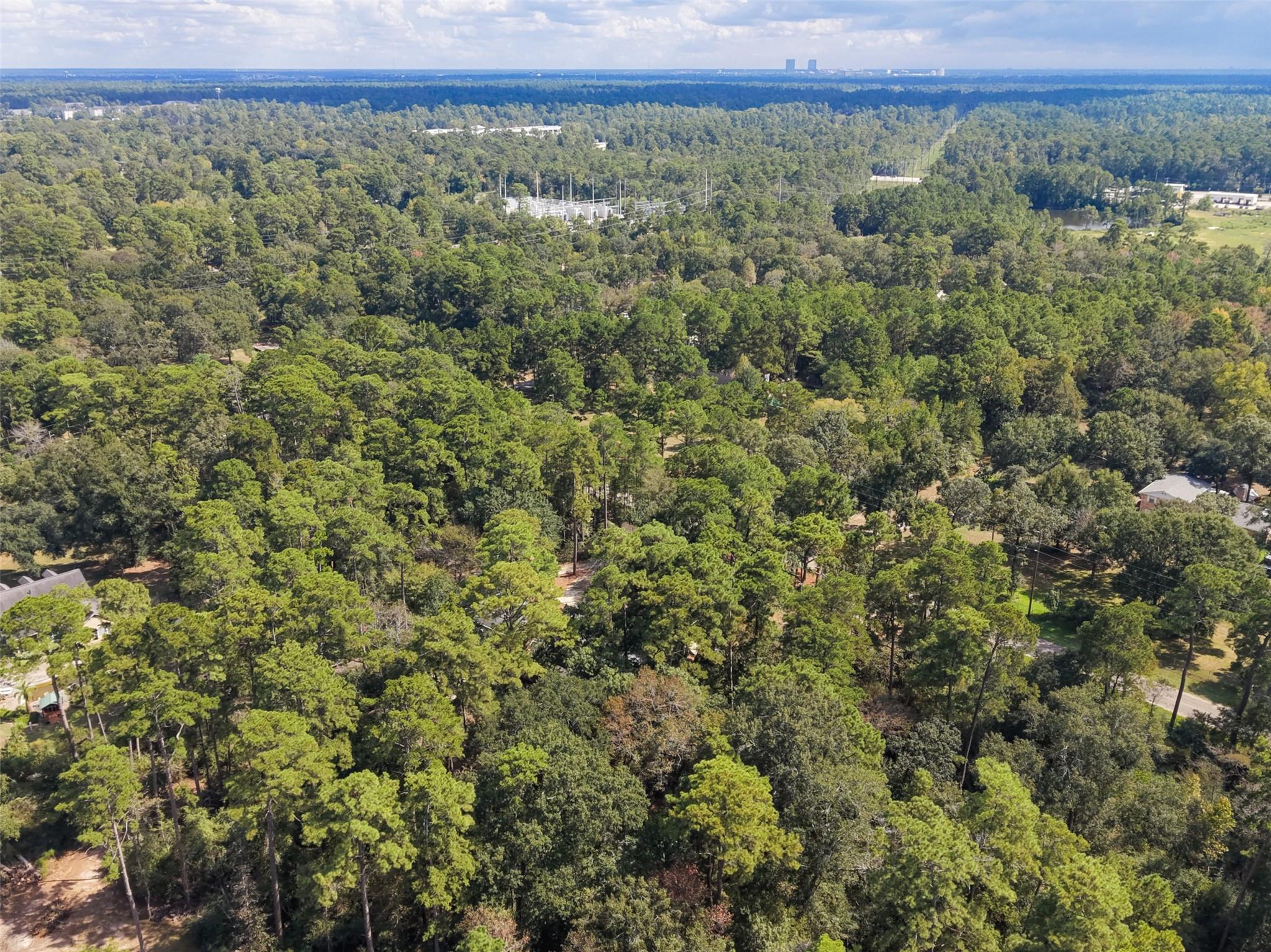 10331 Happy Trail Property Photo 35
