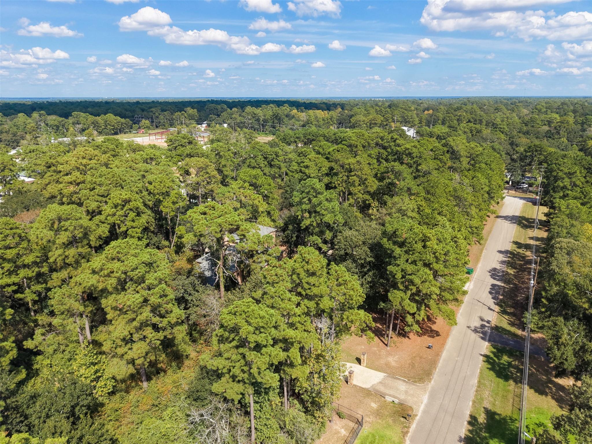 10331 Happy Trail Property Photo 39