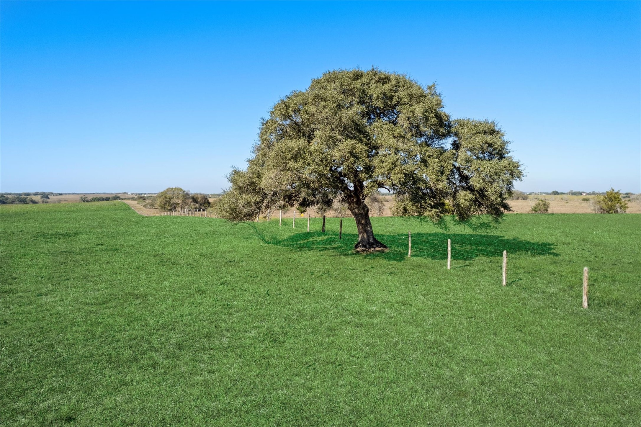 Abs A0497 J S Wilder County Road 258 Property Photo 6