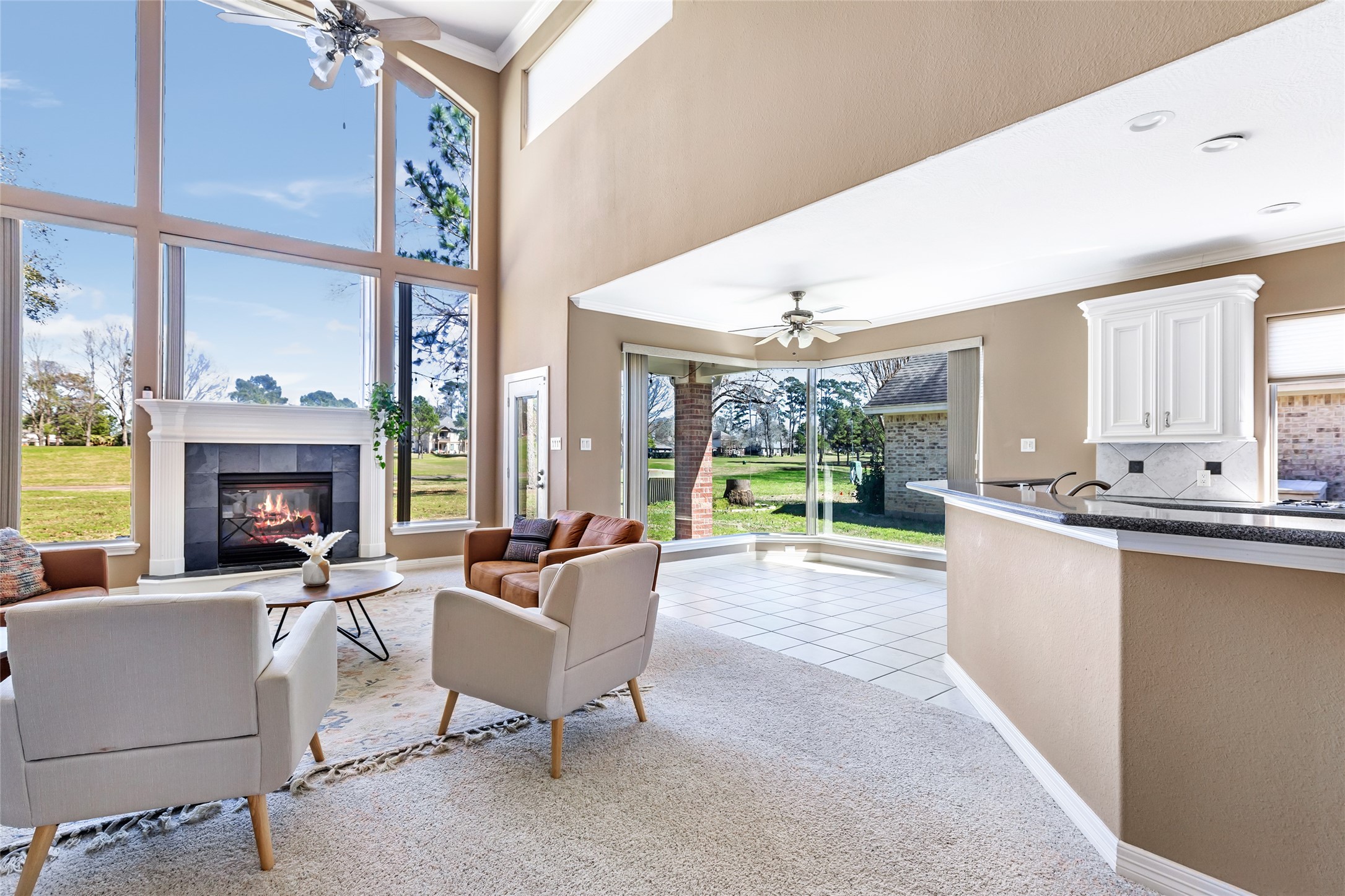 13930 Fountainview Drive Property Photo 6