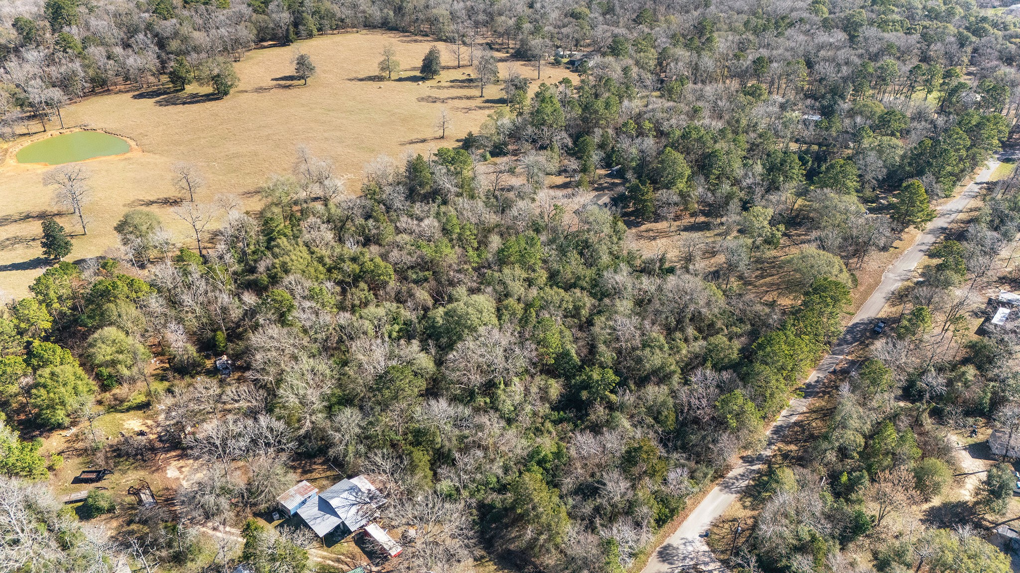 15685 Mckay Road Property Photo 8