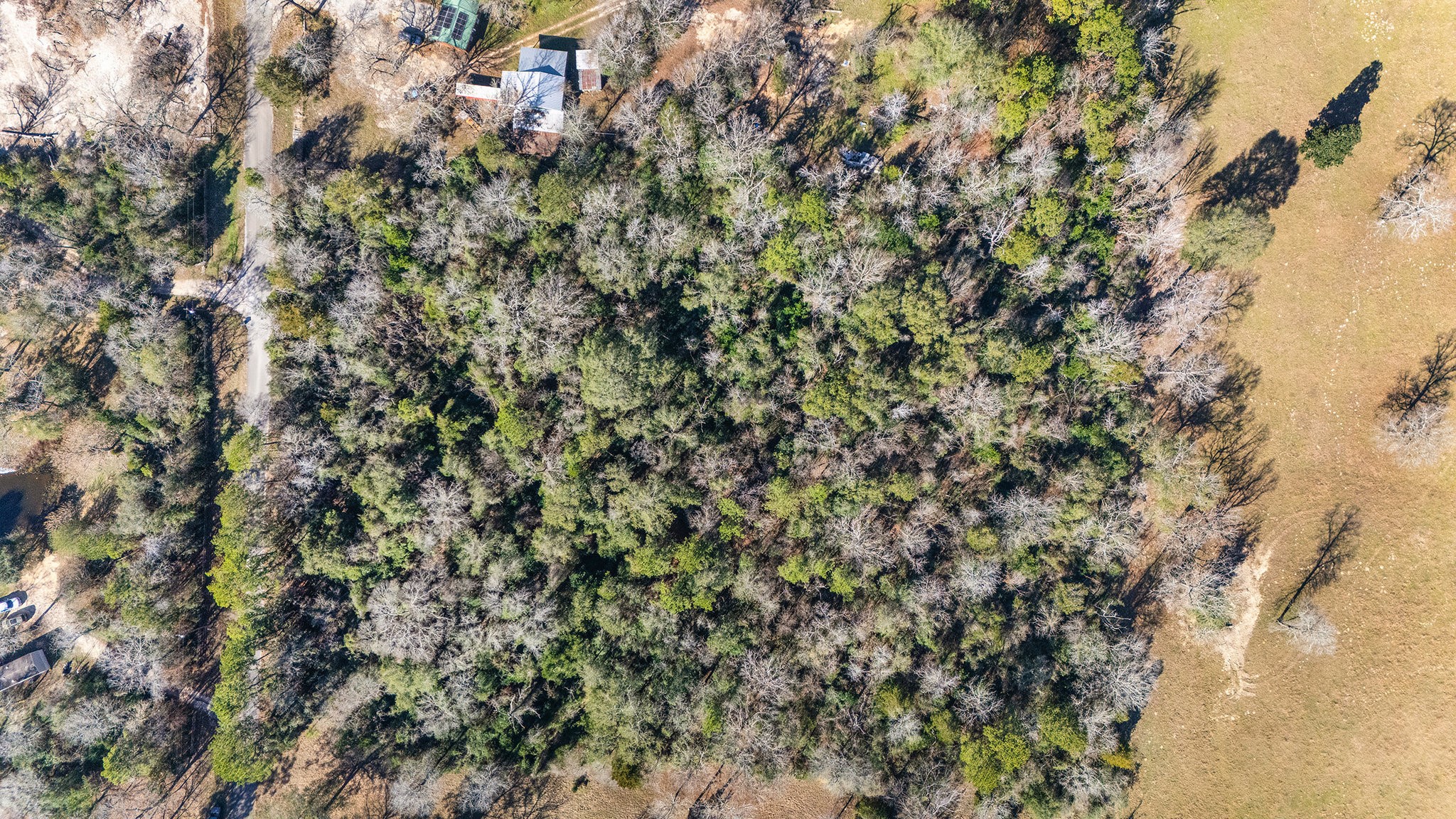 15685 Mckay Road Property Photo 10