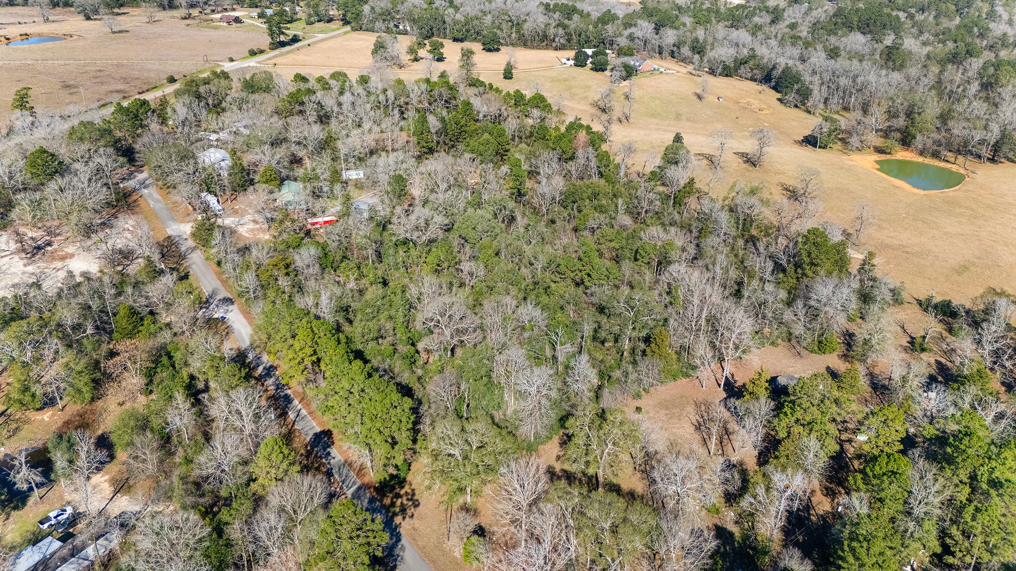 15685 Mckay Road Property Photo 16