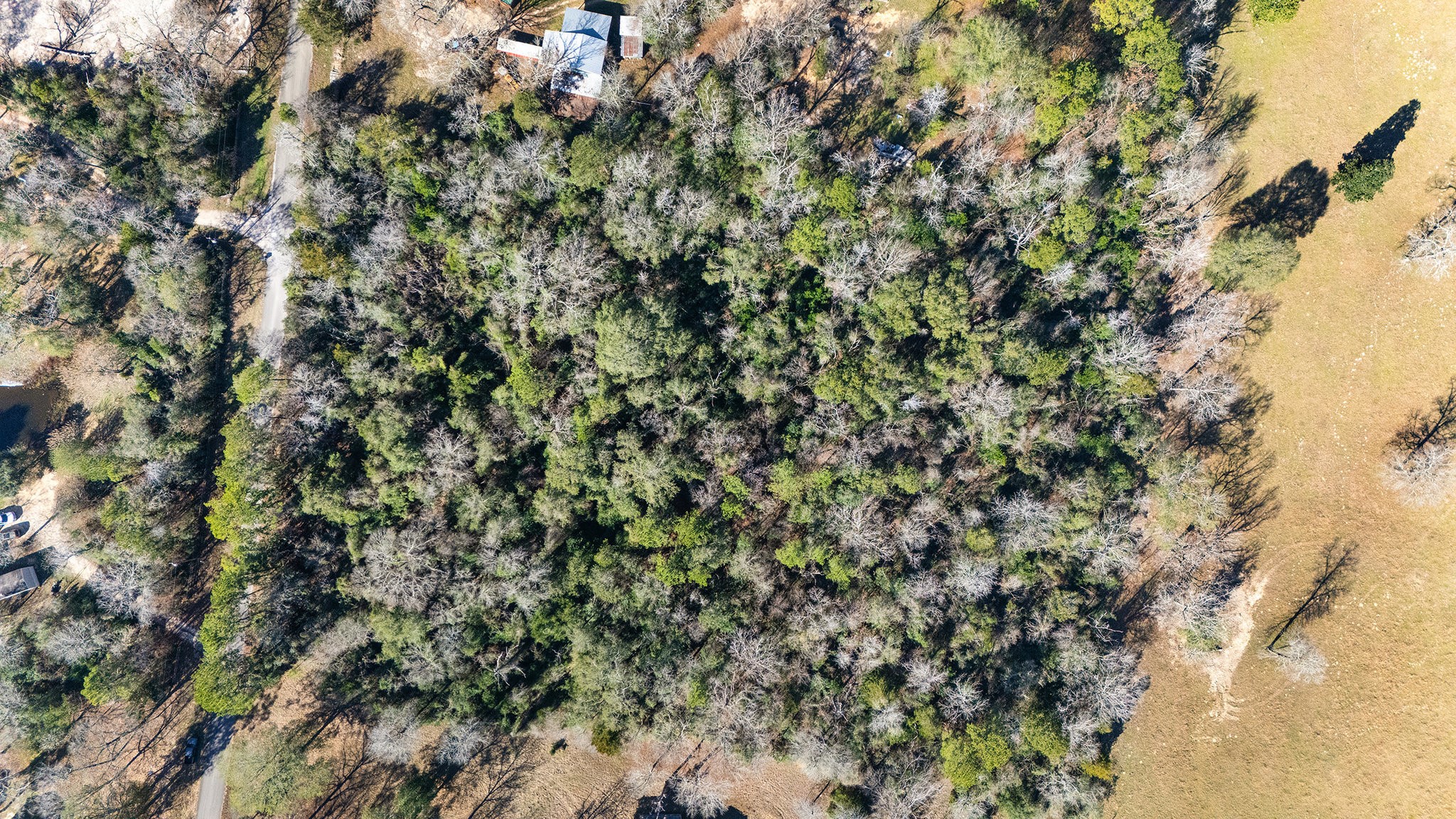 15685 Mckay Road Property Photo 17