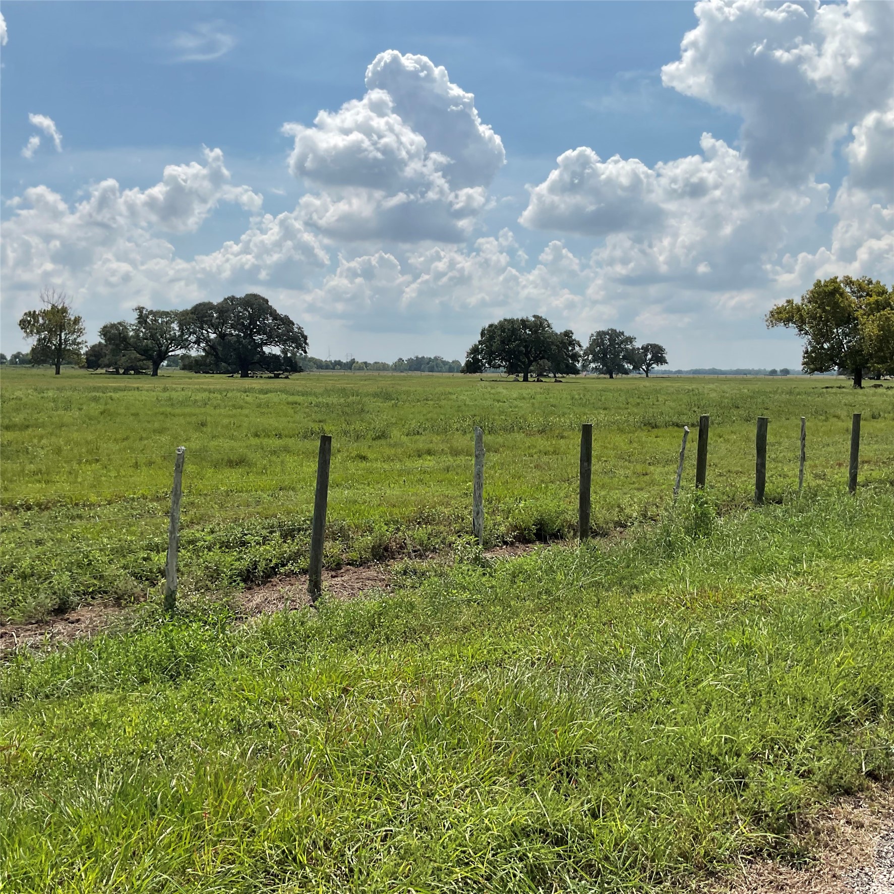 0 Private Road 719 Property Photo 3