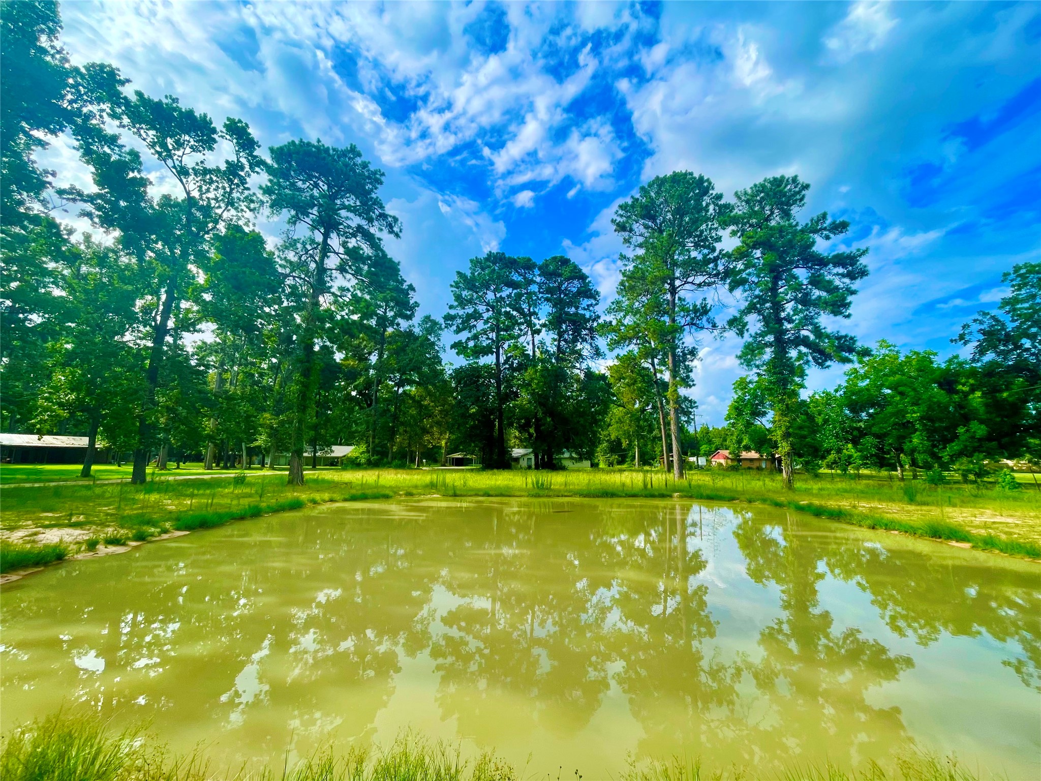 14733 Calhoun Main House Road Property Photo 3