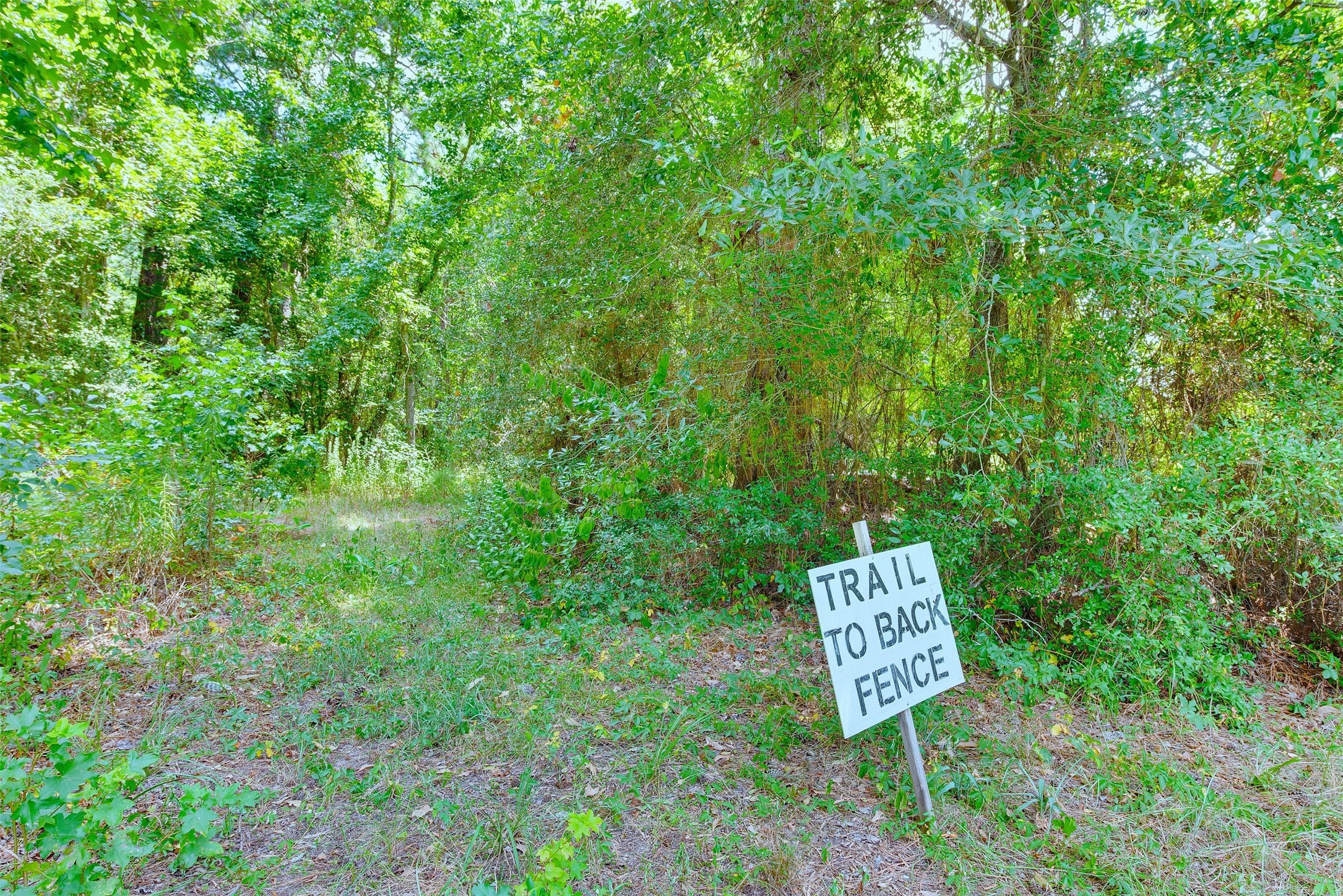 14733 Calhoun Main House Road Property Photo 38