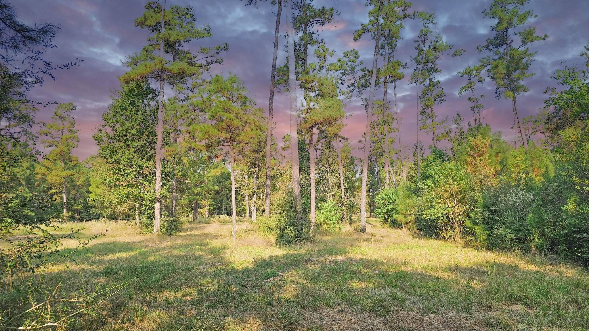 TBD Gregory Property Photo 1