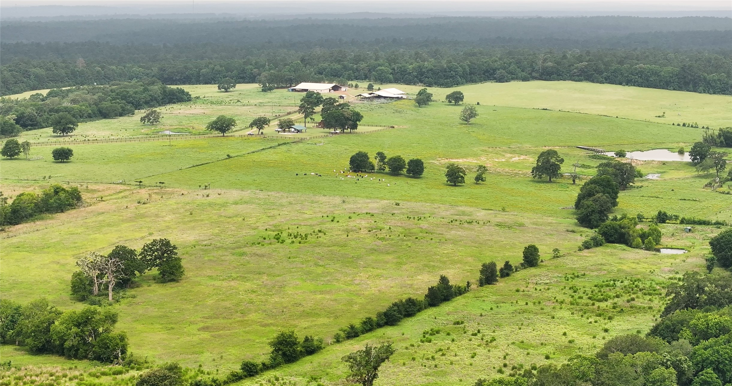 44 Bucking Bull Road Property Photo 13