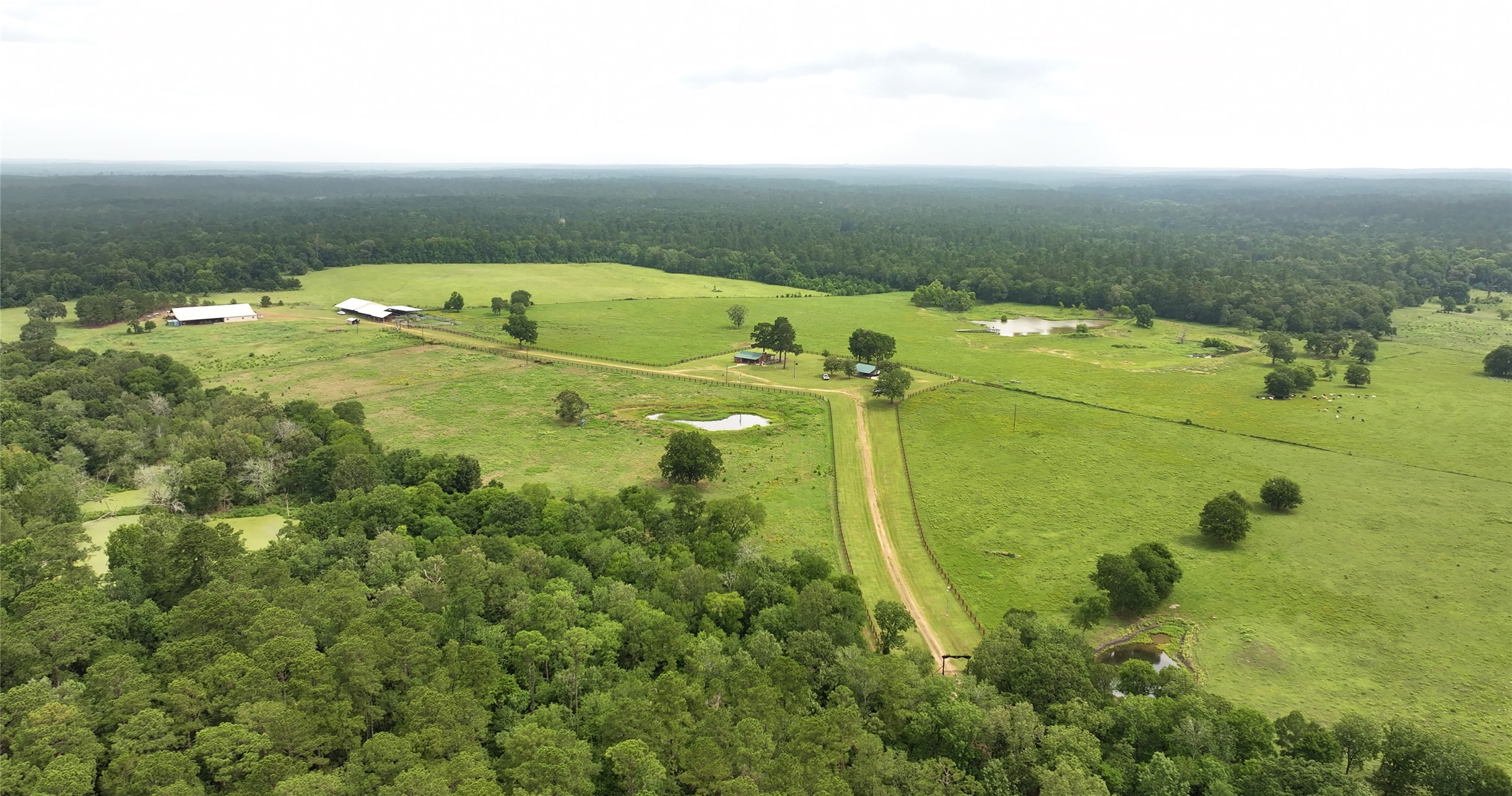 44 Bucking Bull Road Property Photo 22