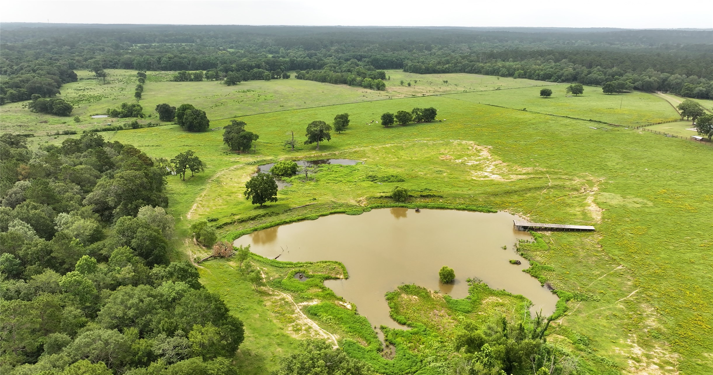 44 Bucking Bull Road Property Photo 27