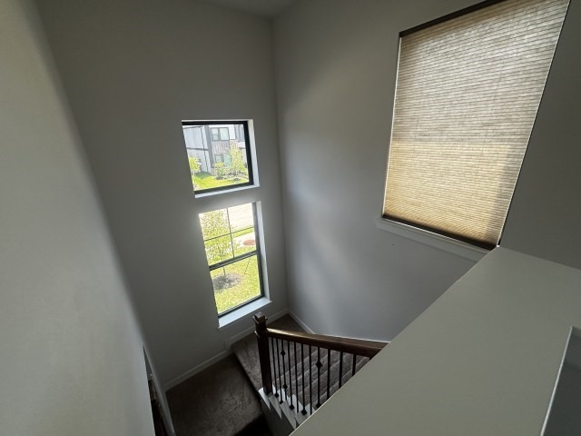 1531 Noble Park Drive Property Photo 10