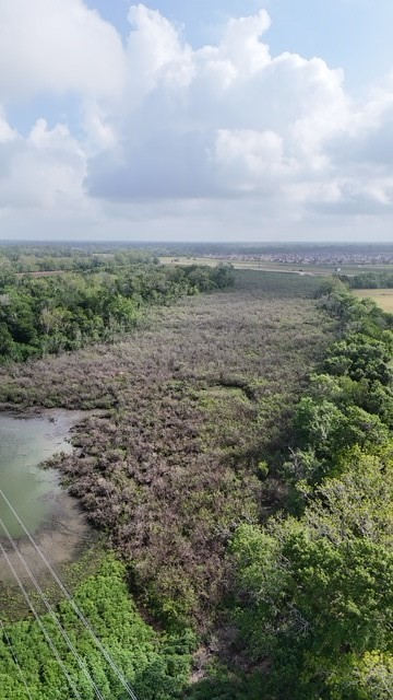 2735 Fm 723 Road Property Photo 5