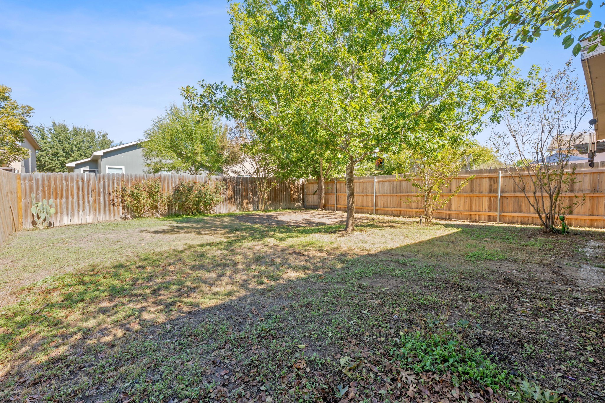 229 Black Forest Property Photo 30