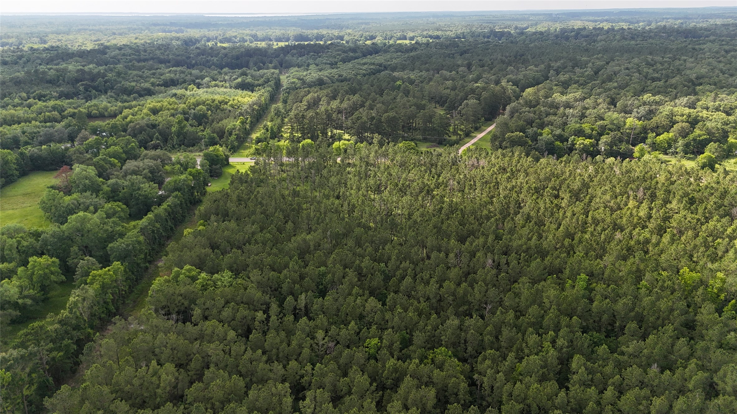 Tbd Fm 350 South Tract 8 Property Photo 5