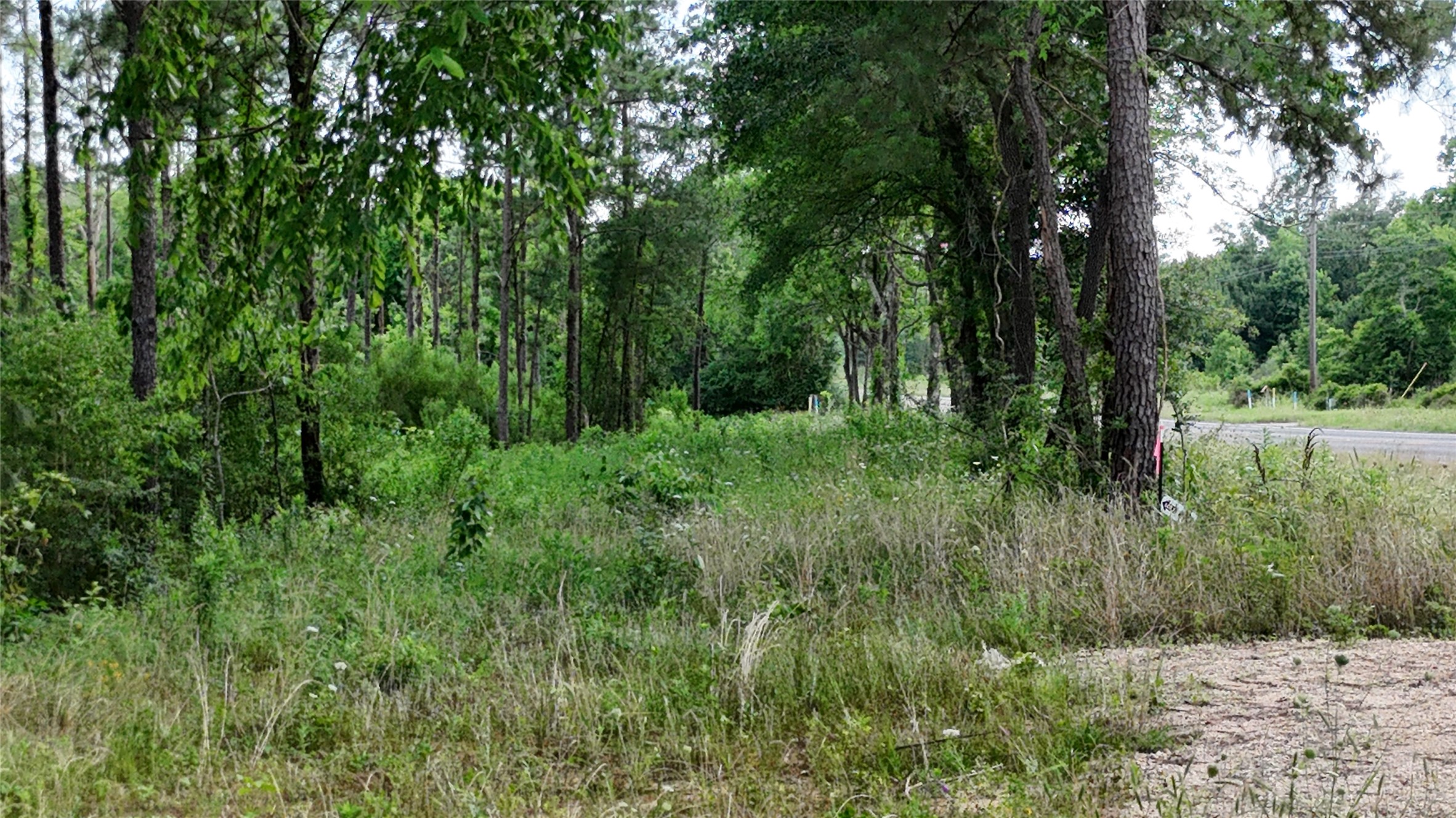 Tbd Fm 350 South Tract 8 Property Photo 6