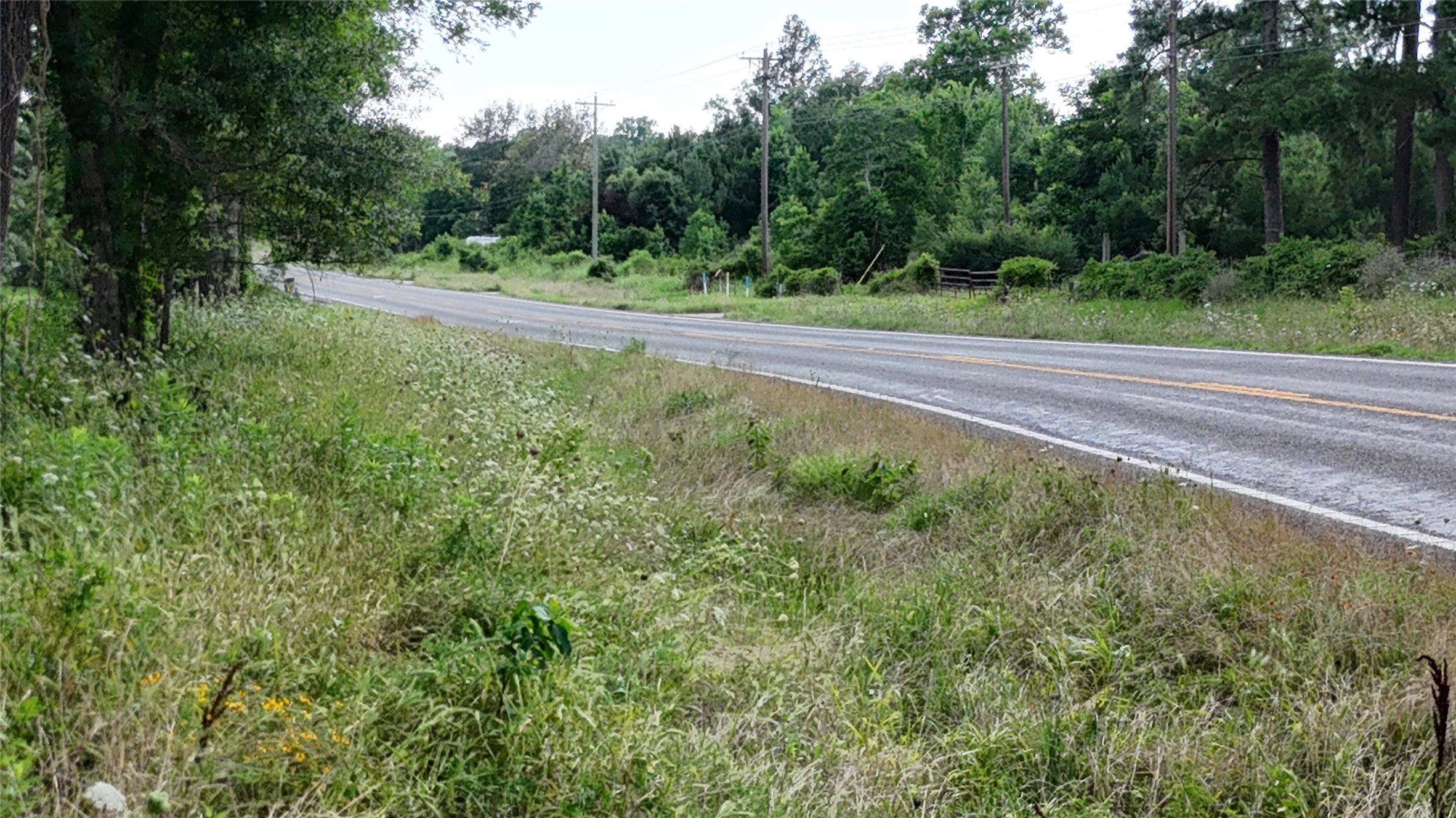 Tbd Fm 350 South Tract 8 Property Photo 7