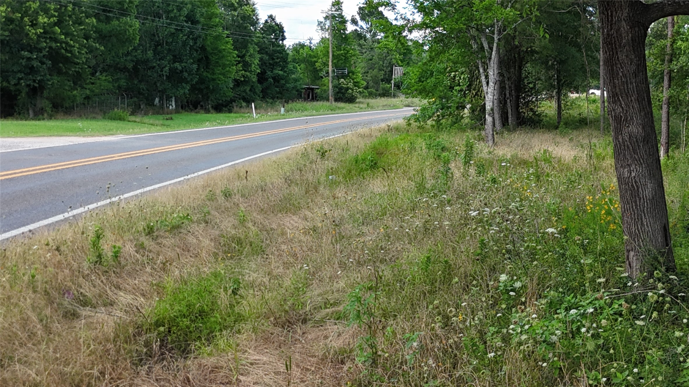 Tbd Fm 350 South Tract 8 Property Photo 8
