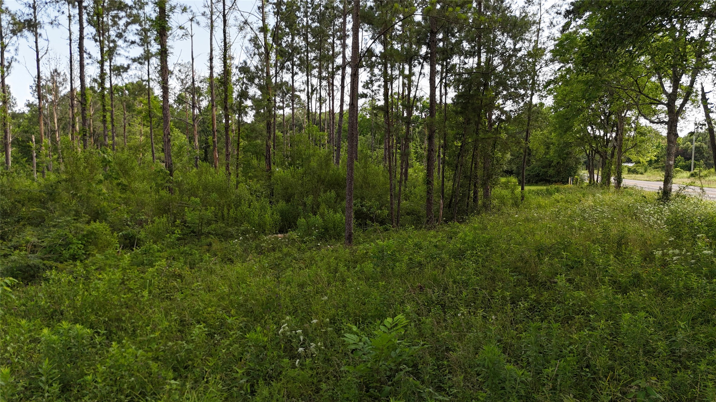 Tbd Fm 350 South Tract 8 Property Photo 11