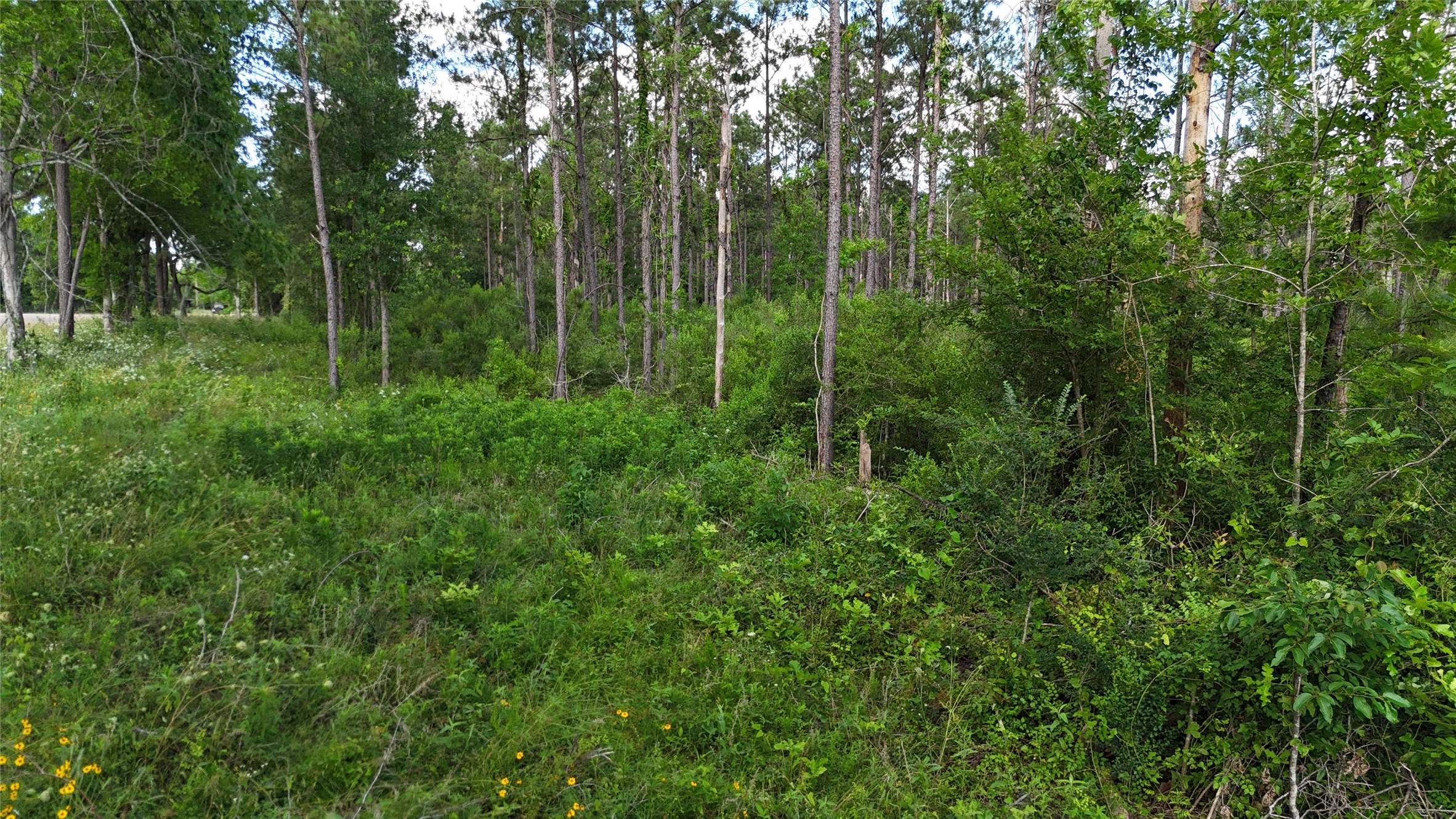 Tbd Fm 350 South Tract 8 Property Photo 13