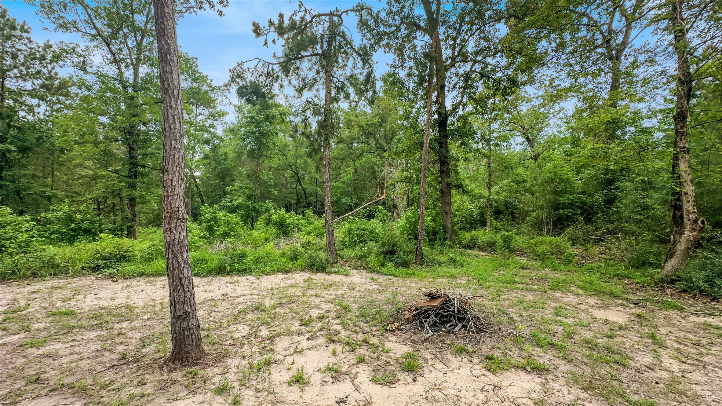 163 Shadywood Drive Property Photo 21