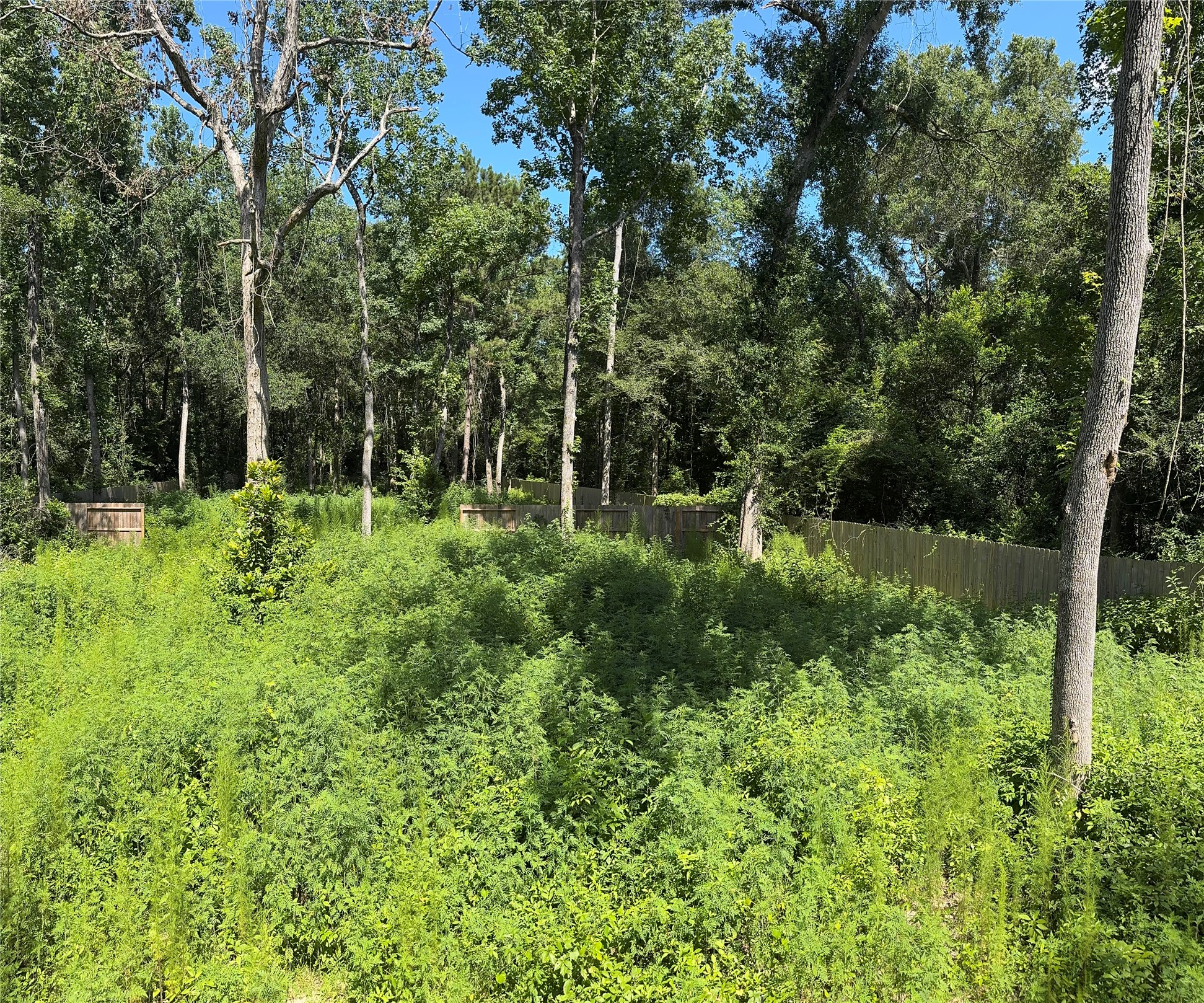 15661 Hickory Lane Property Photo 1