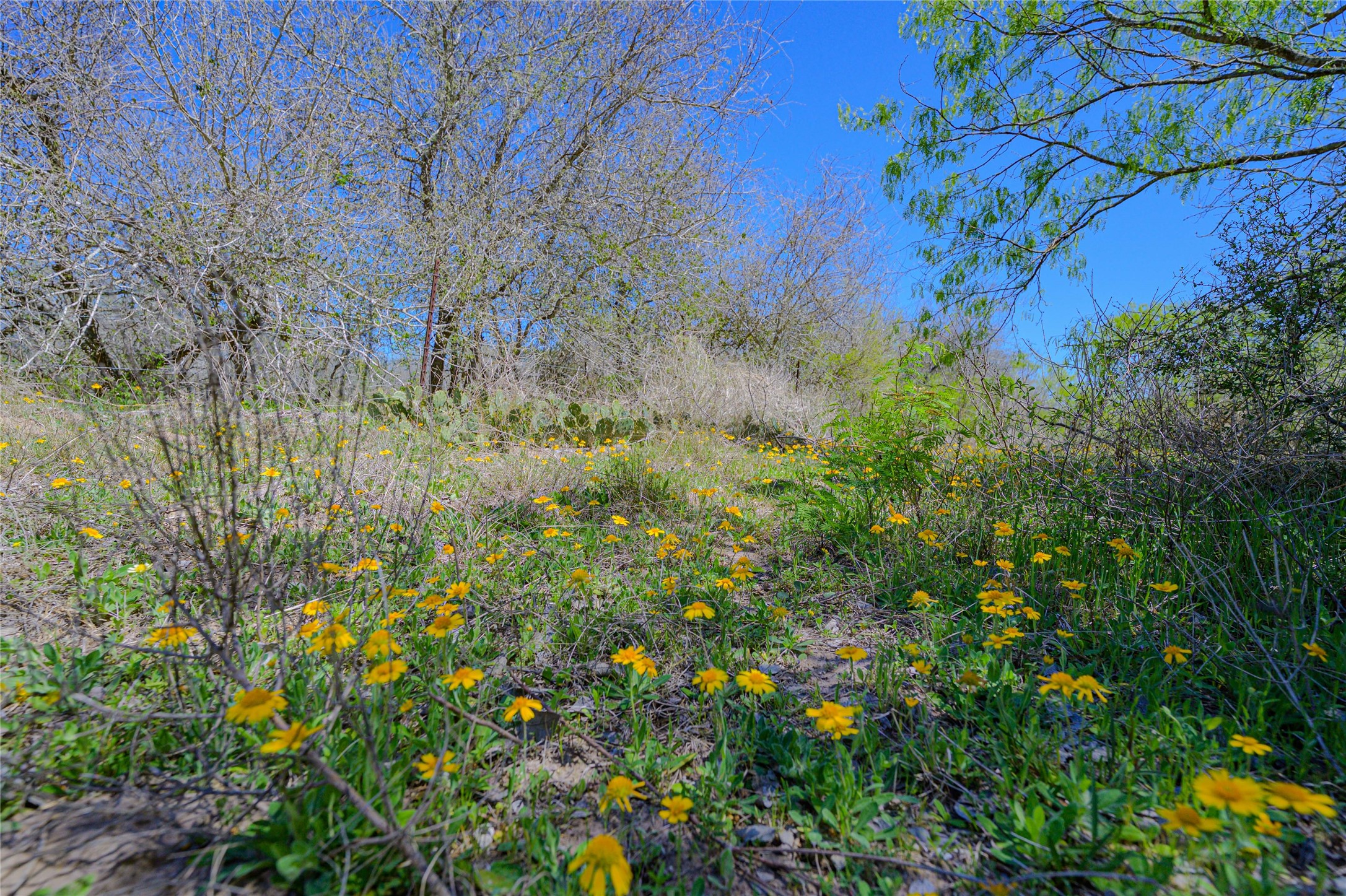 5923 Fm 1726 Property Photo 8