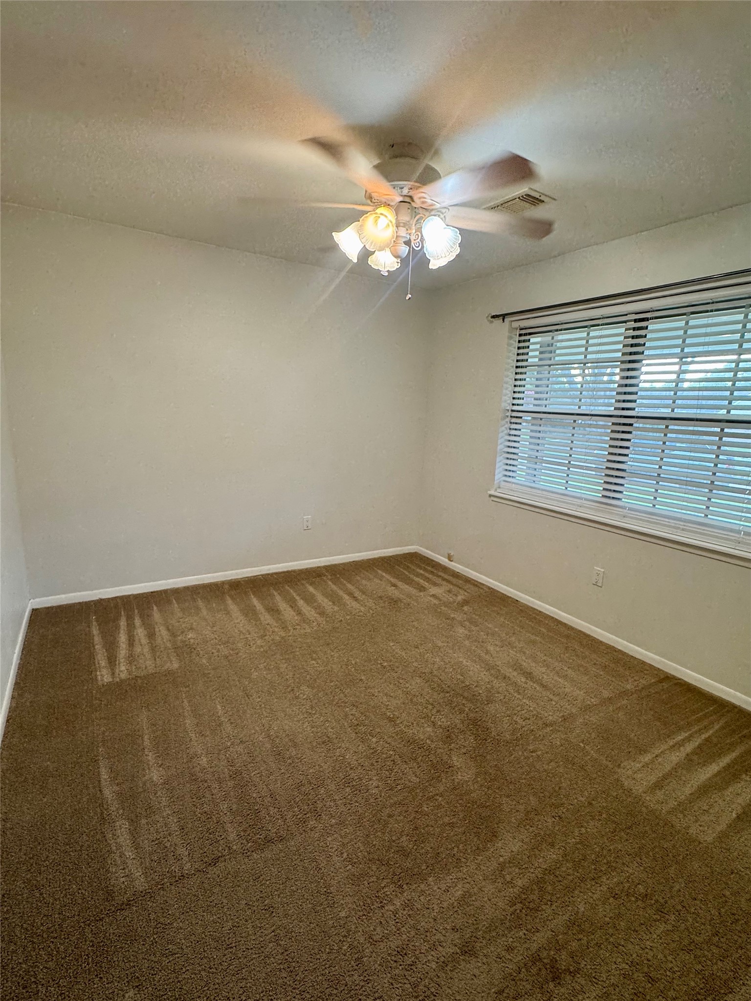 426 Shadow Creek Drive Property Photo 13