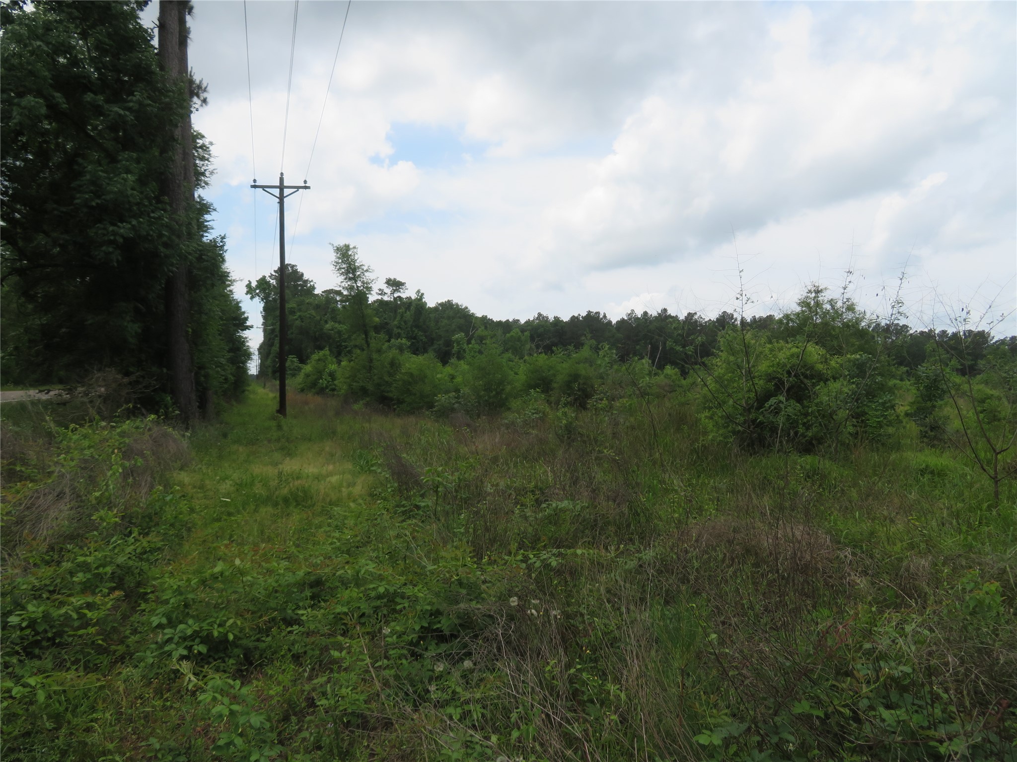 28409 Tx-146 Property Photo 1