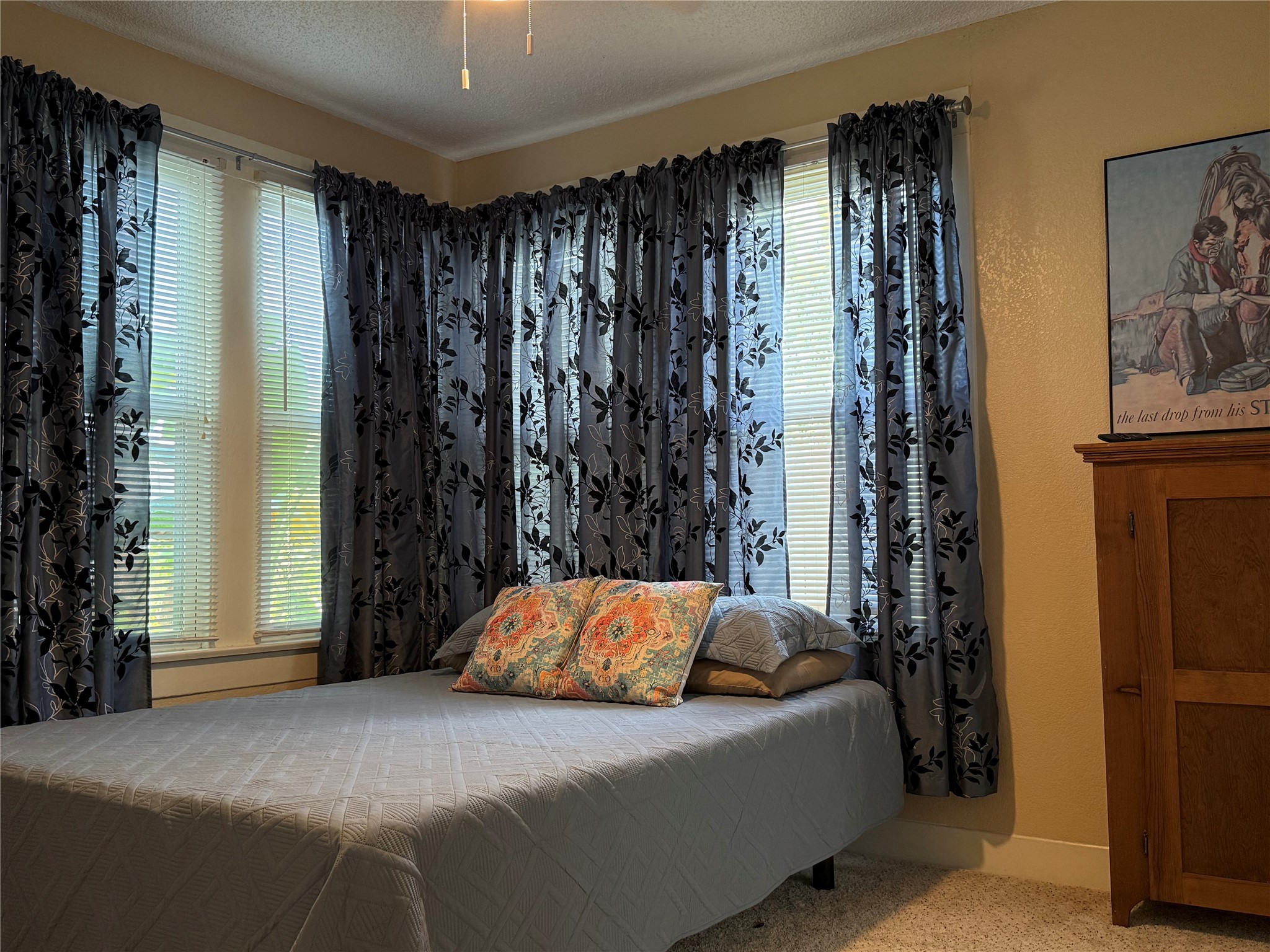 4728 Avenue R Property Photo 18