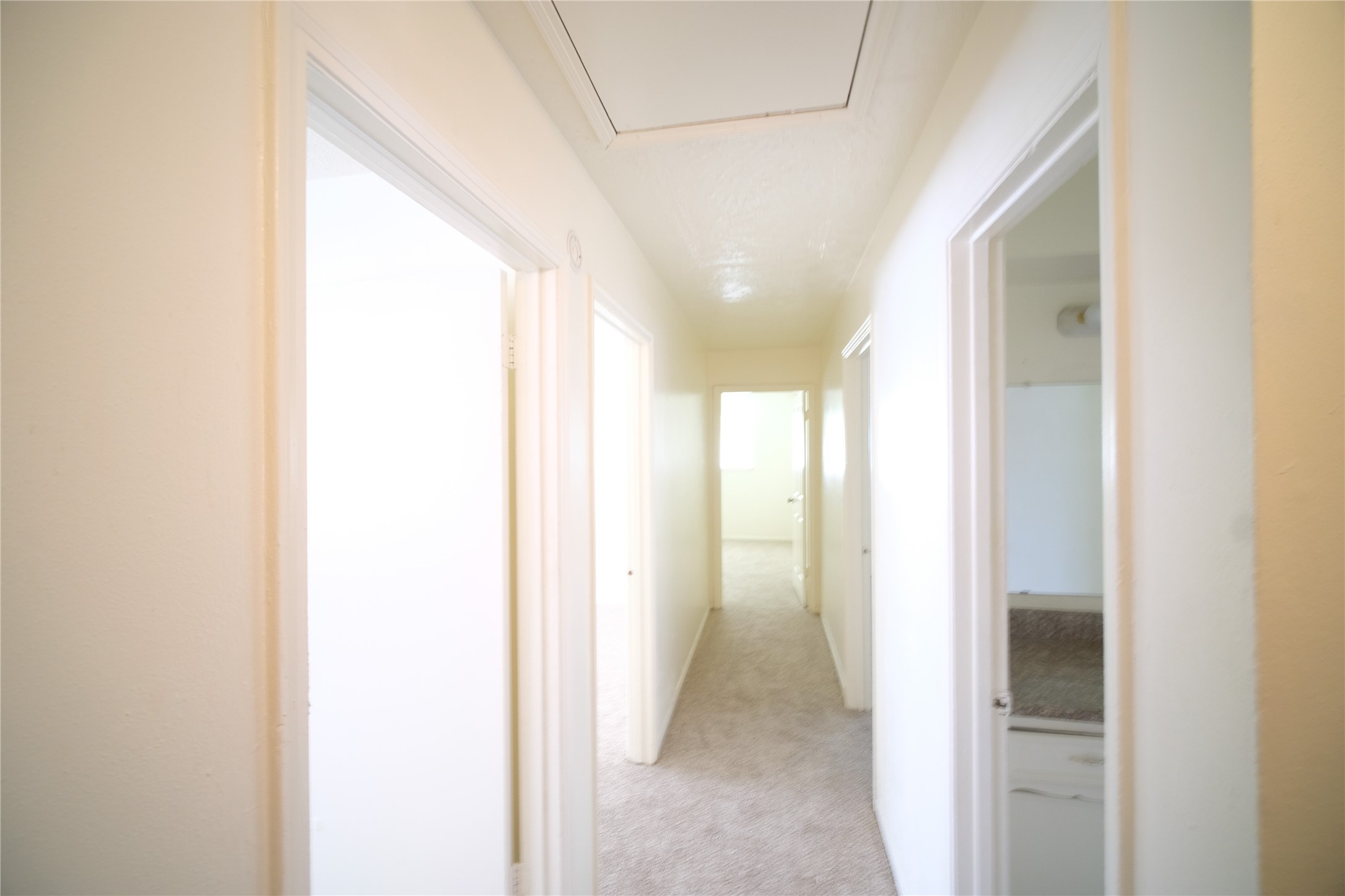 12327 Shannon Hill Property Photo 7