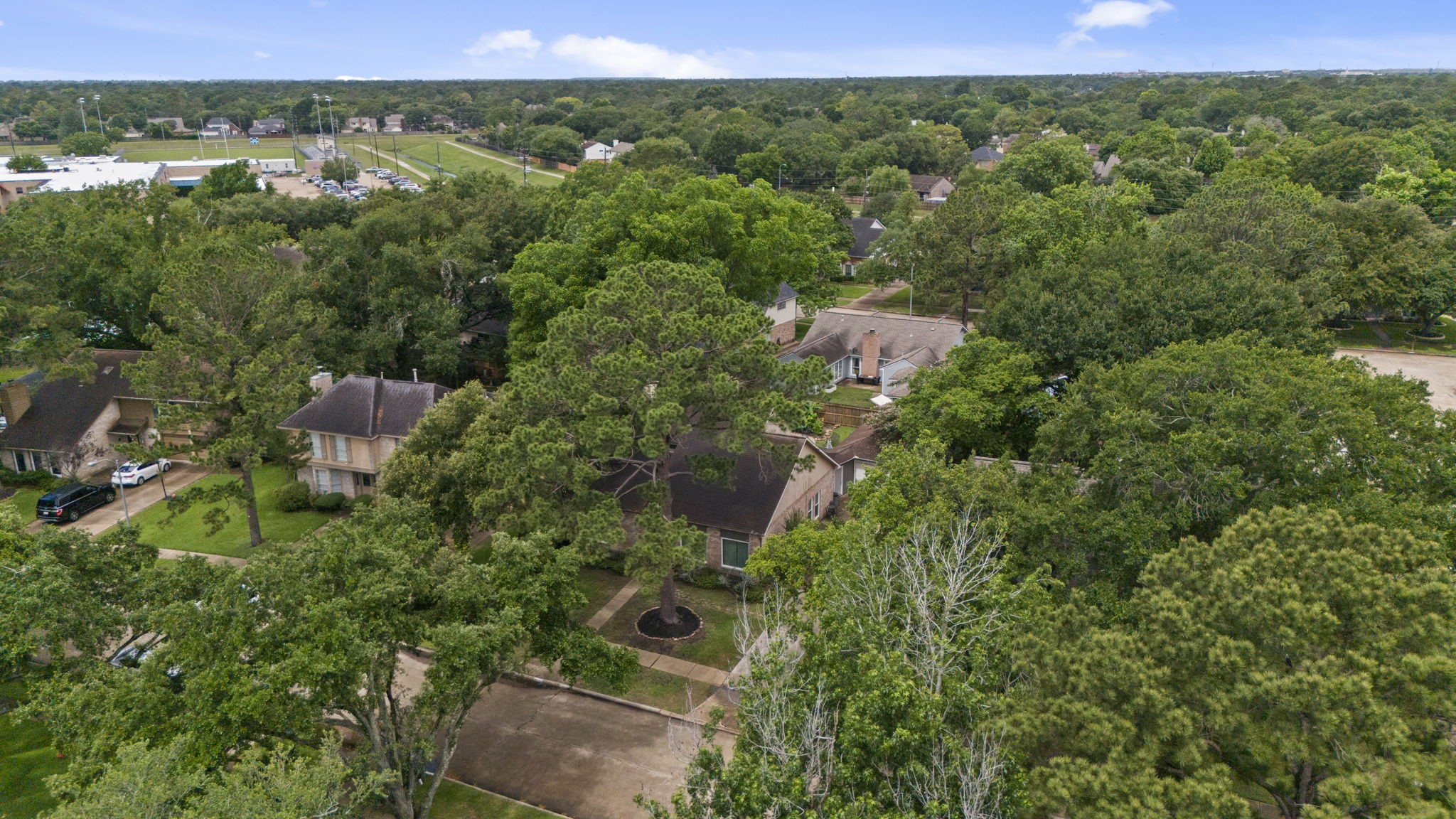 8151 Silent Cedars Drive Property Photo 29
