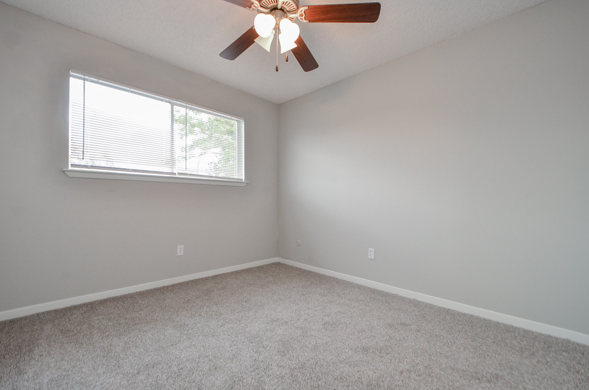 1853 Witte Road Road 27 Property Photo 23