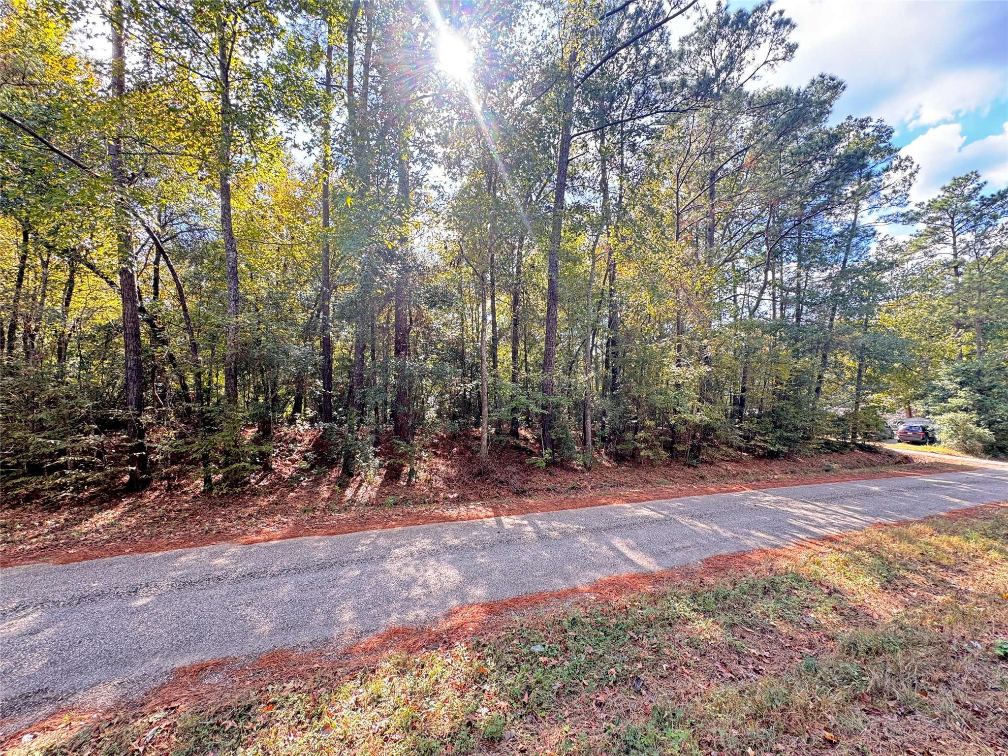 Tbd Love Drive Property Photo 1