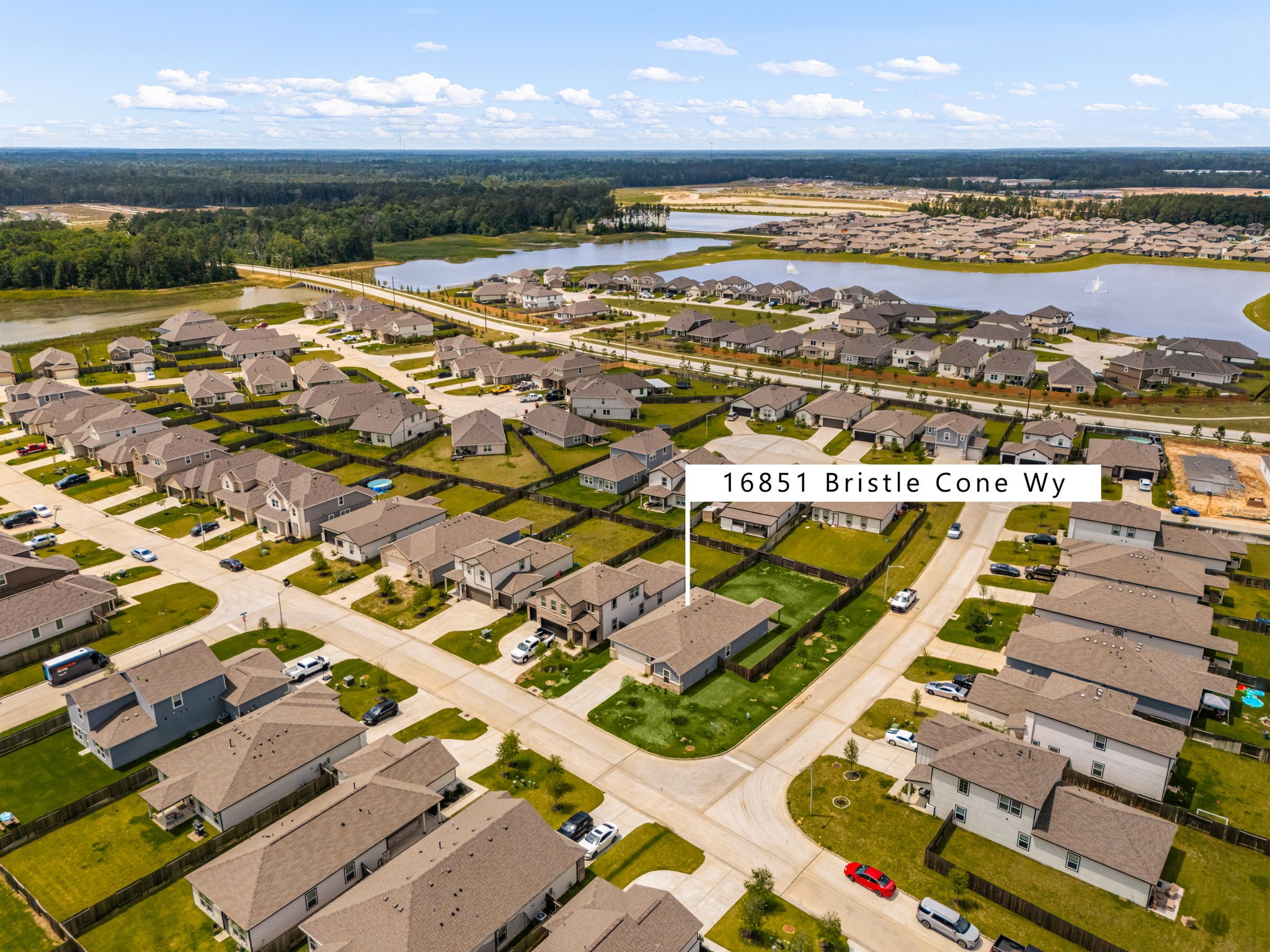 16851 Bristle Cone Way Property Photo 2