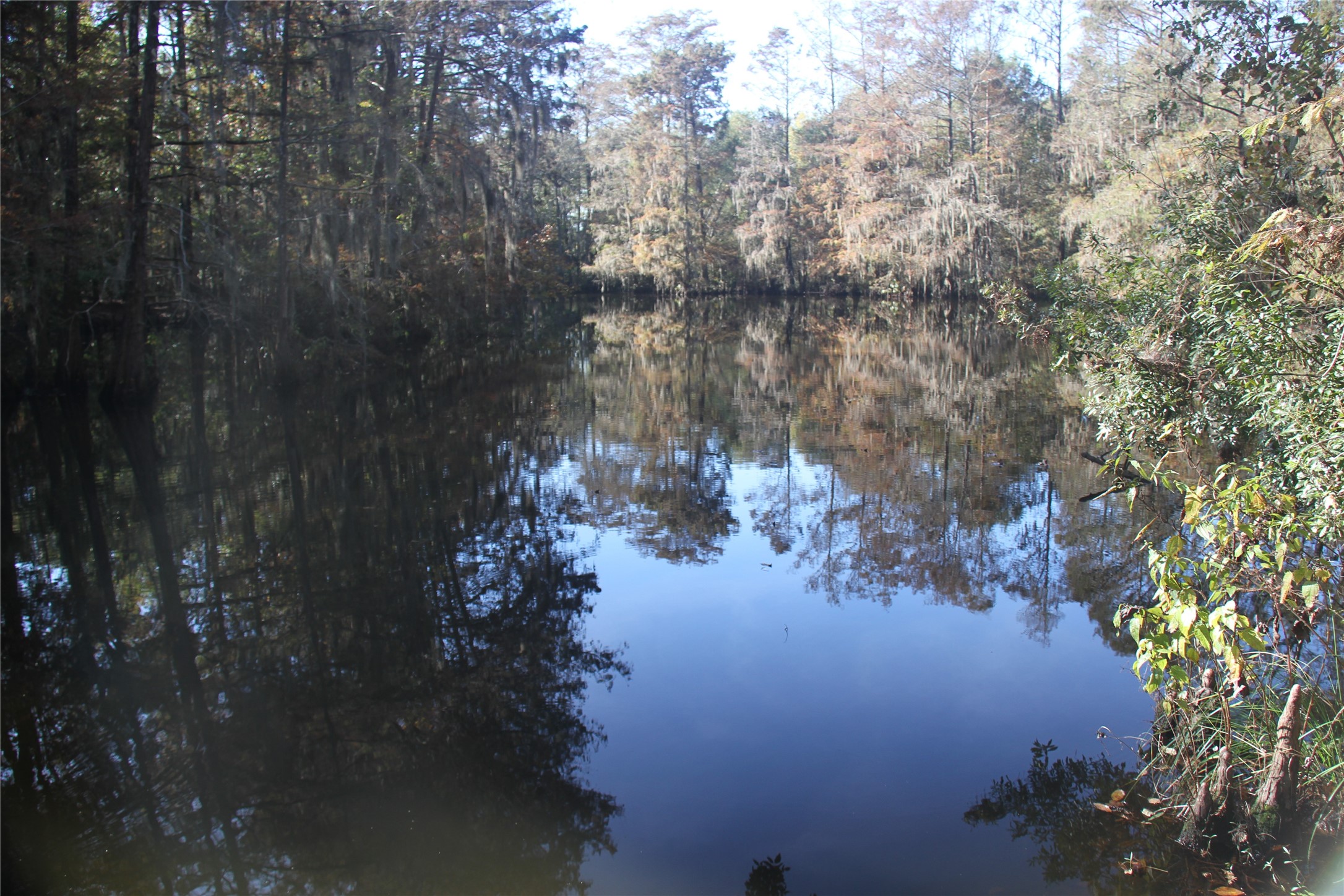 23 Artesian Avenue Property Photo 2