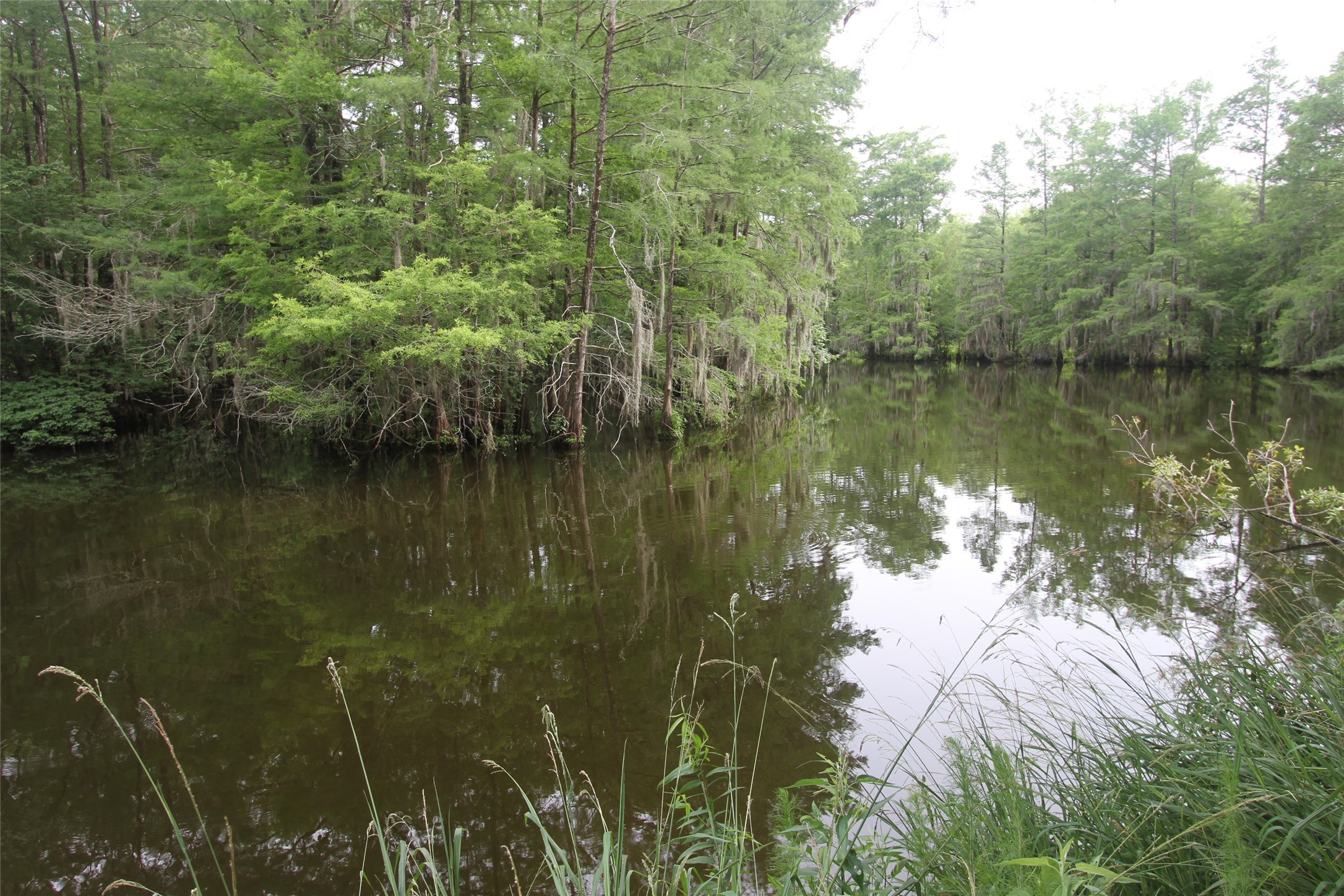23 Artesian Avenue Property Photo 4
