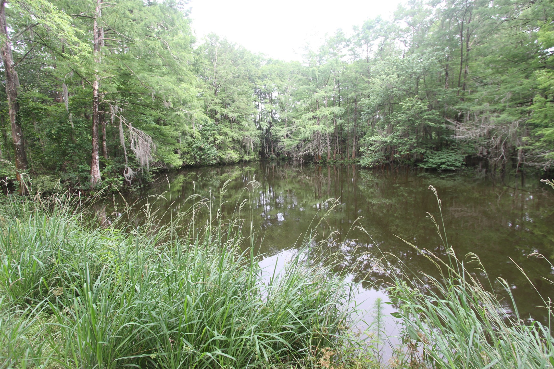 23 Artesian Avenue Property Photo 5