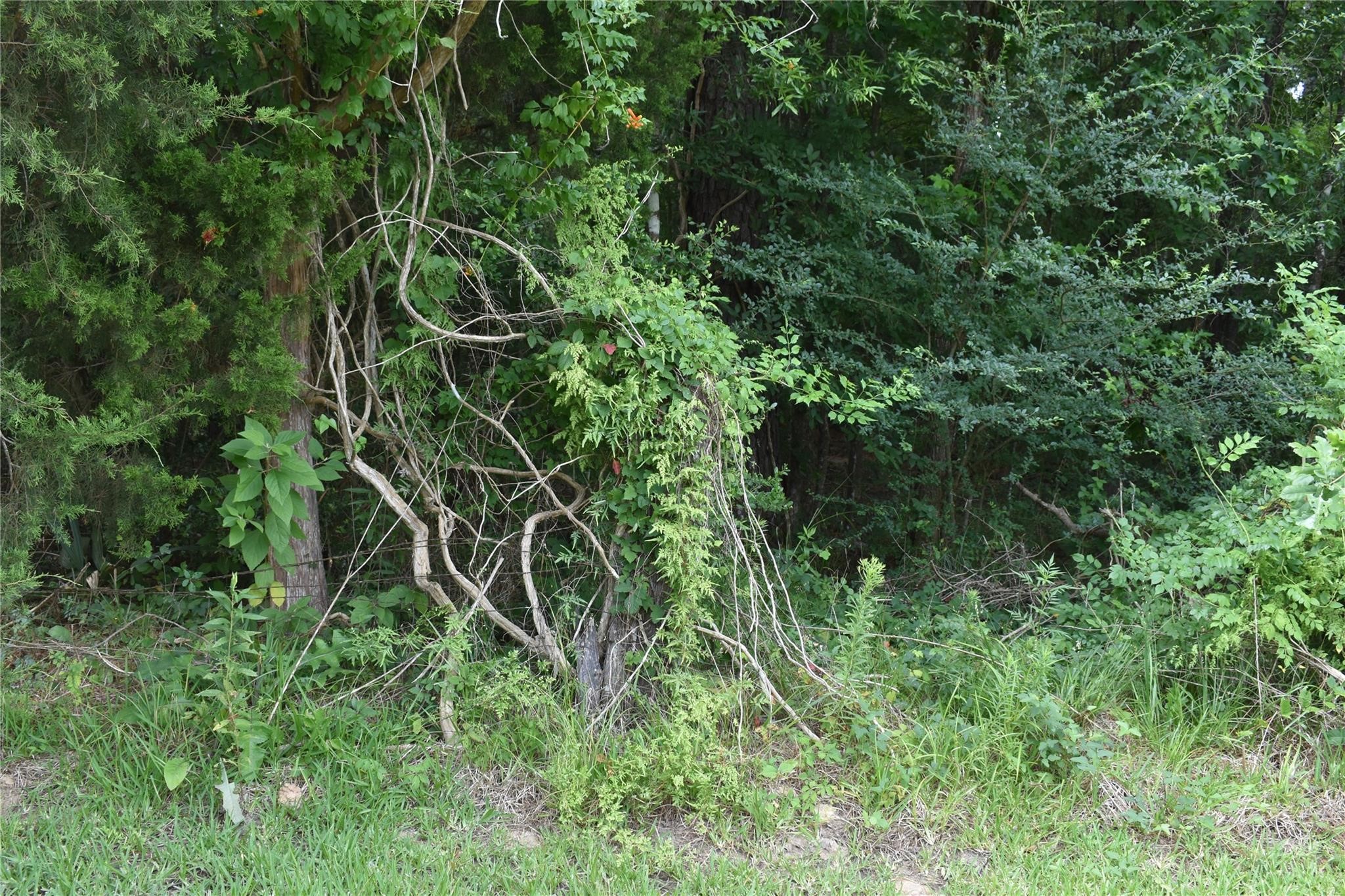 00 Garrett Road Property Photo 12