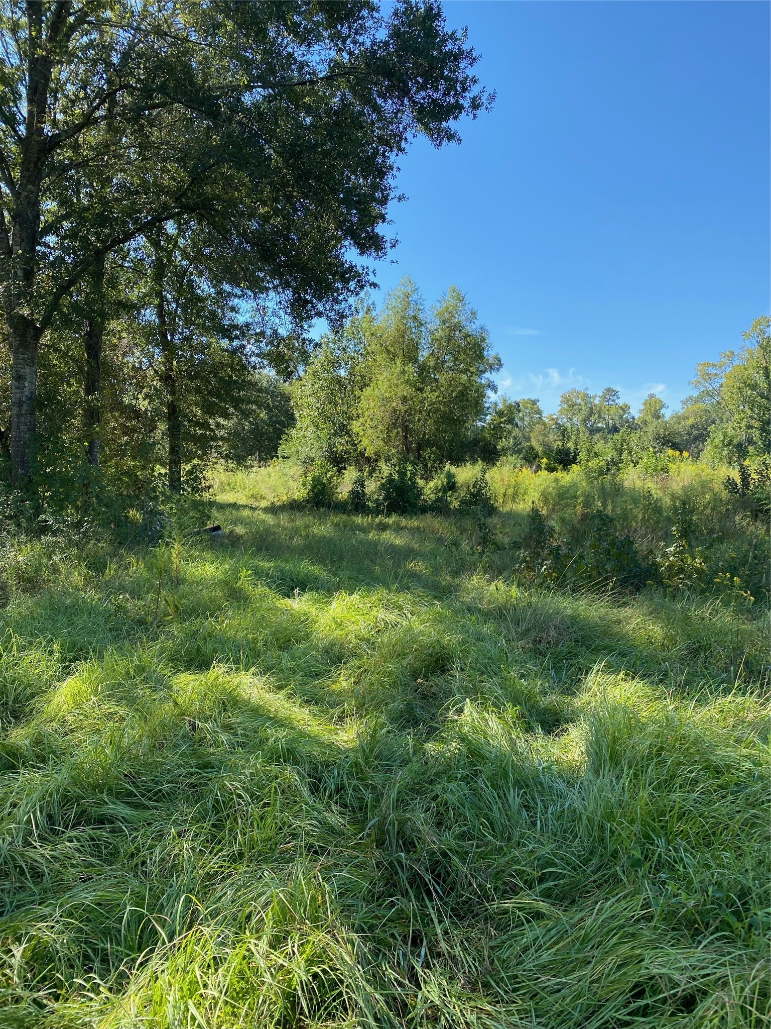 6225 County Road 2252