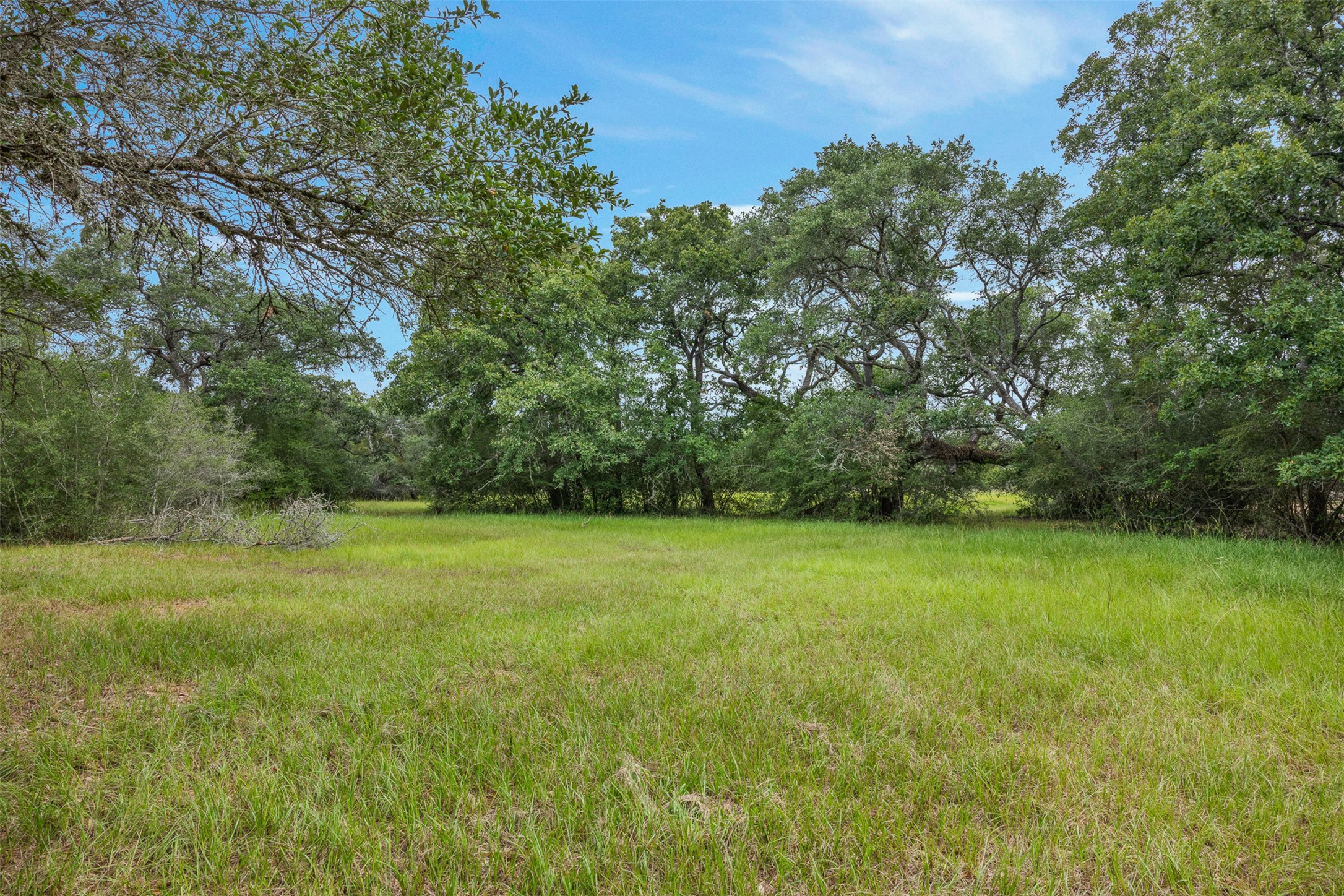 1085 Reeves Road Property Photo 42
