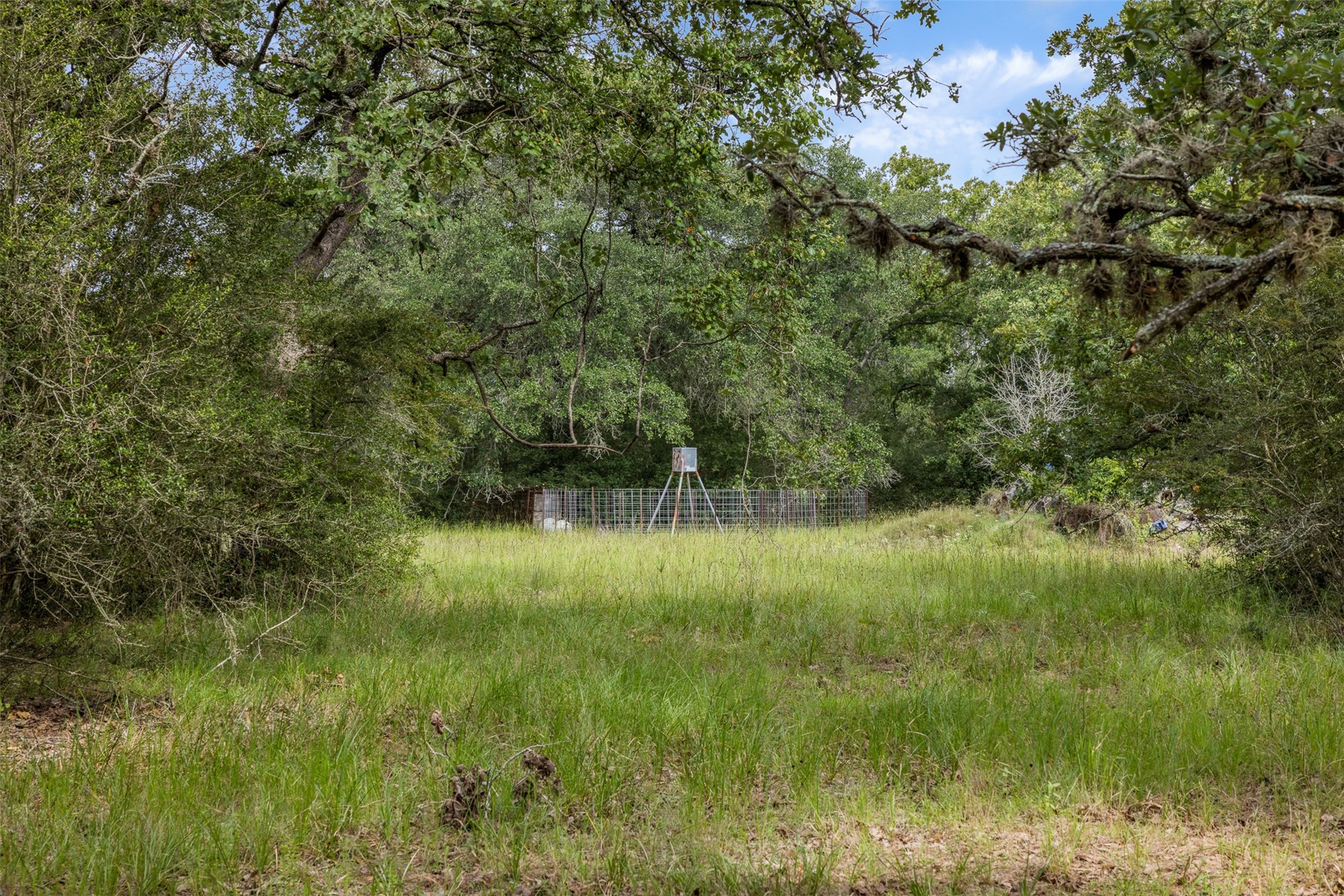 1085 Reeves Road Property Photo 44