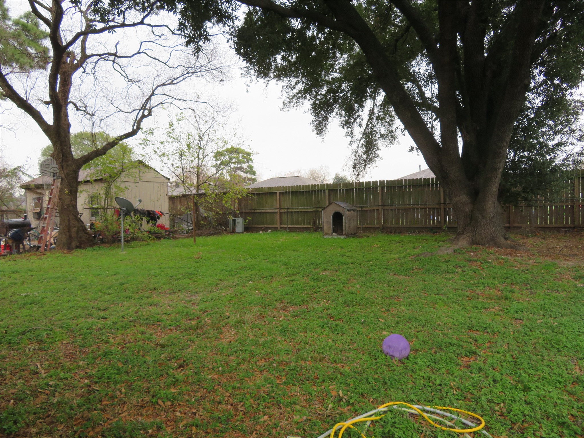 827 Marcolin Street Property Photo 22