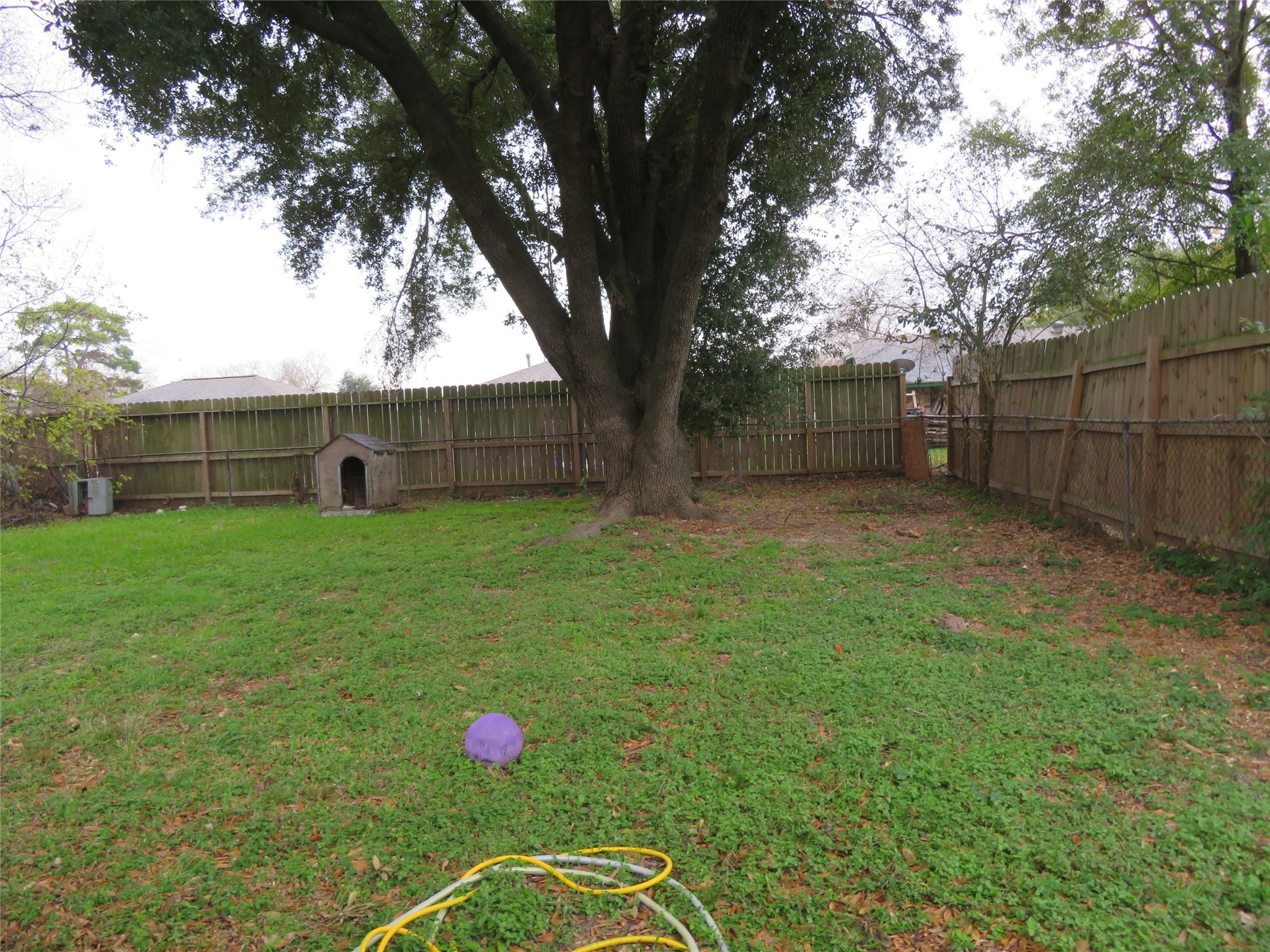 827 Marcolin Street Property Photo 23