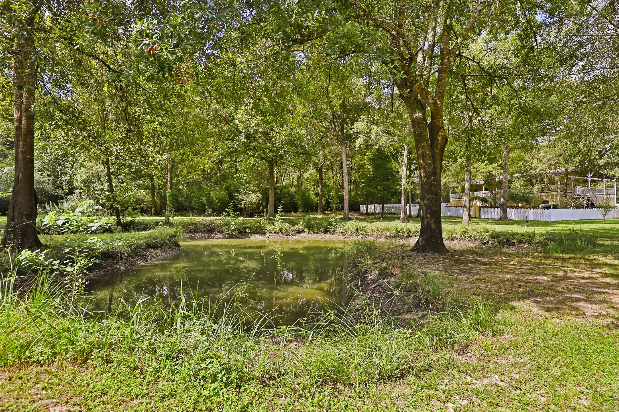 29430 E Irvin Road Property Photo 17