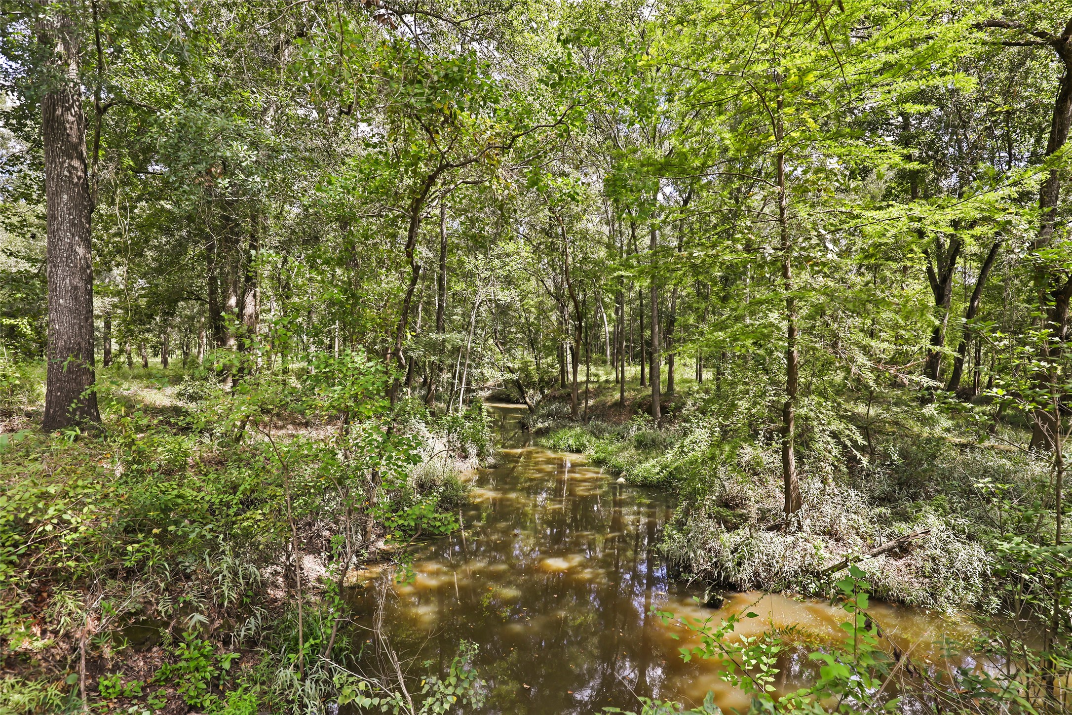 29430 E Irvin Road Property Photo 19