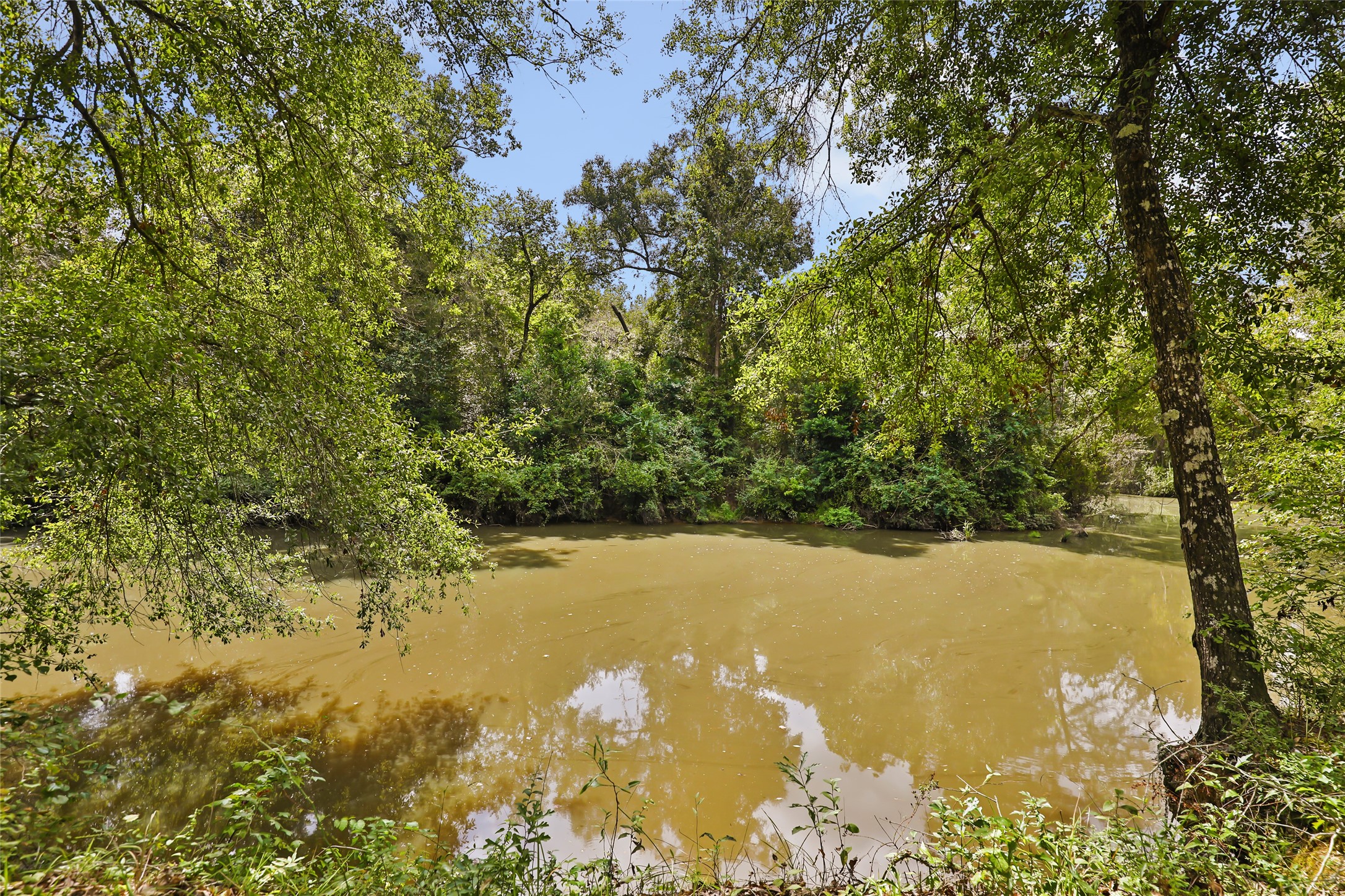 29430 E Irvin Road Property Photo 20
