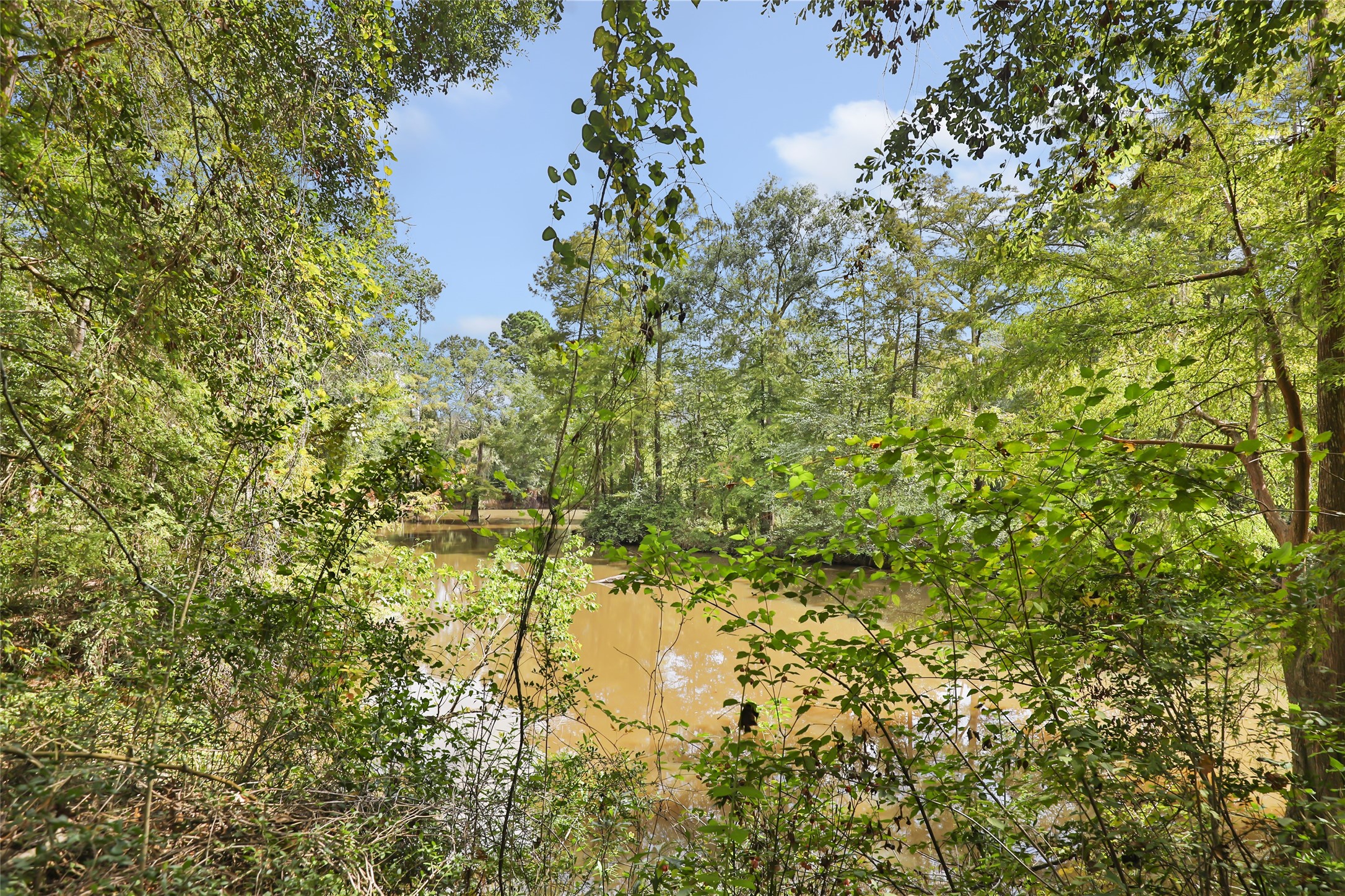 29430 E Irvin Road Property Photo 21