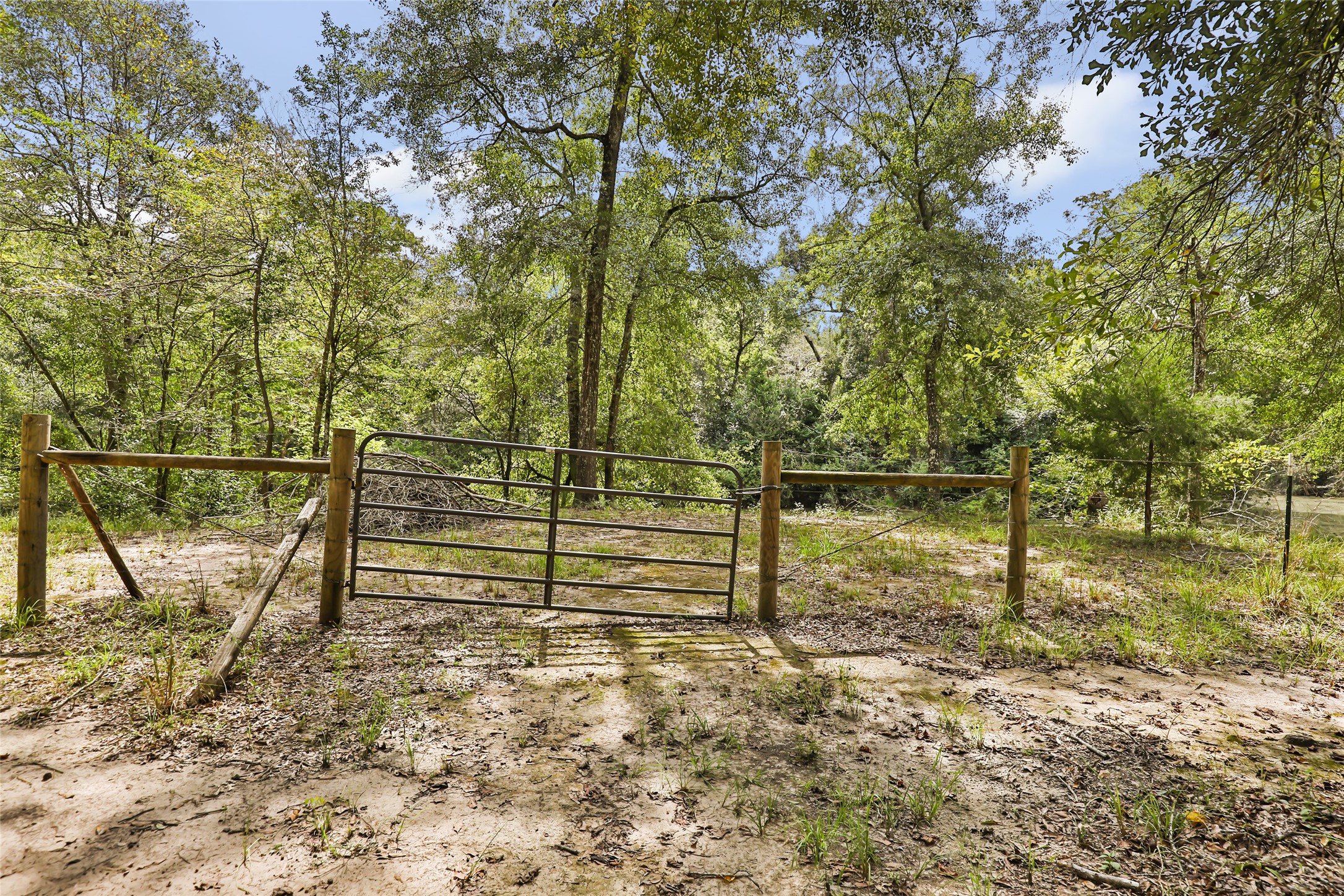 29430 E Irvin Road Property Photo 22