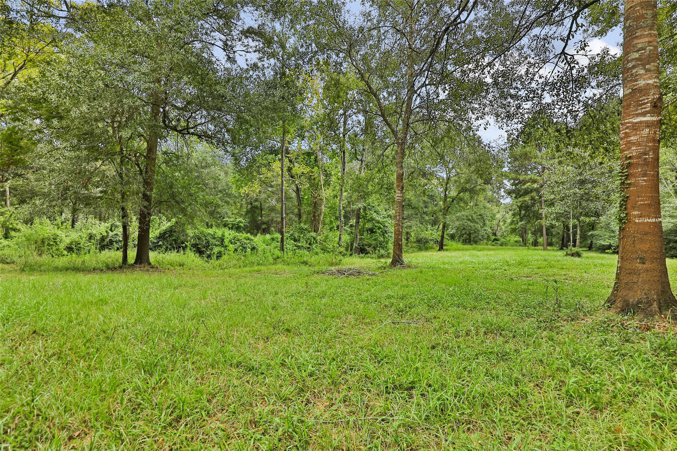 29430 E Irvin Road Property Photo 23